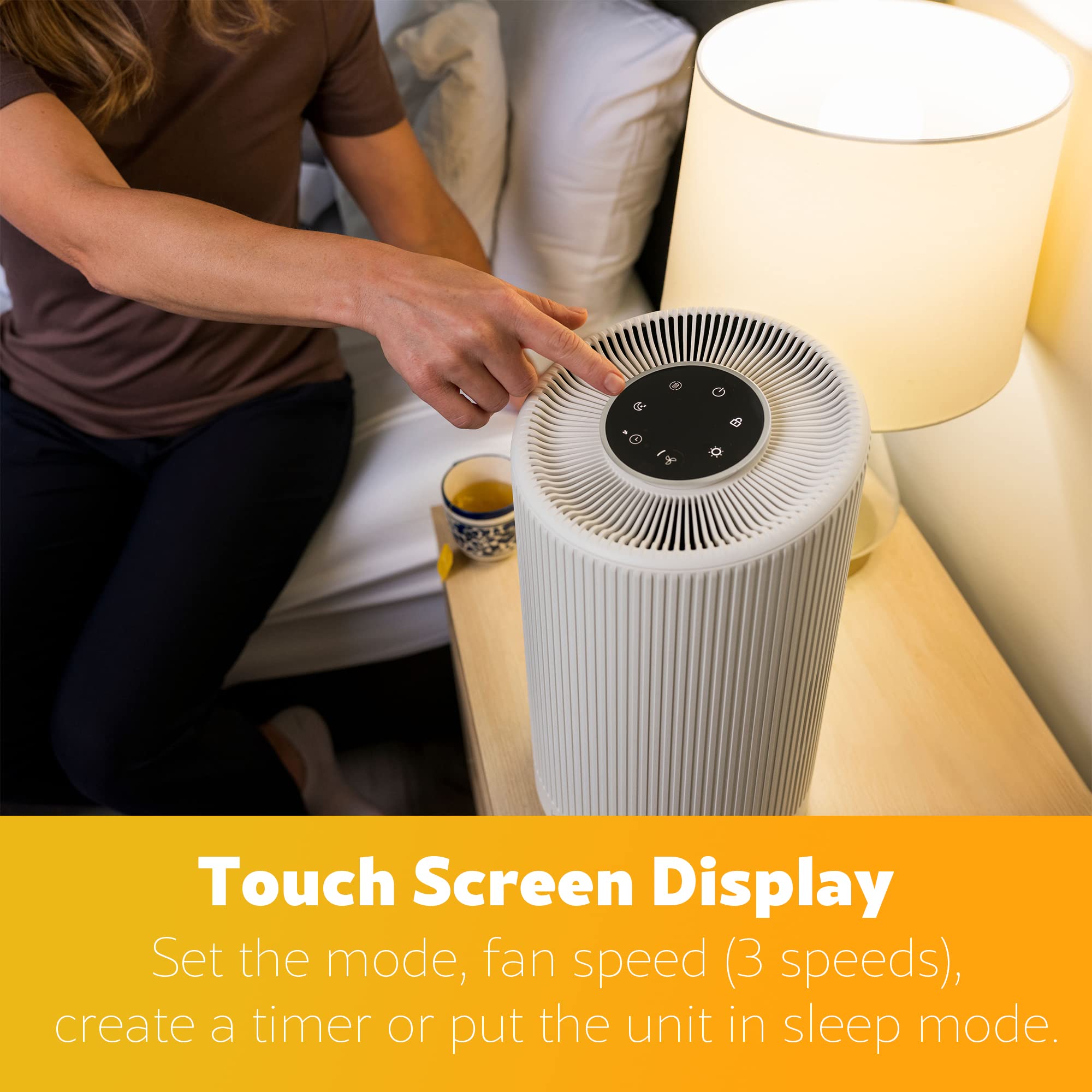 Air Purifier with H13 True HEPA Filter