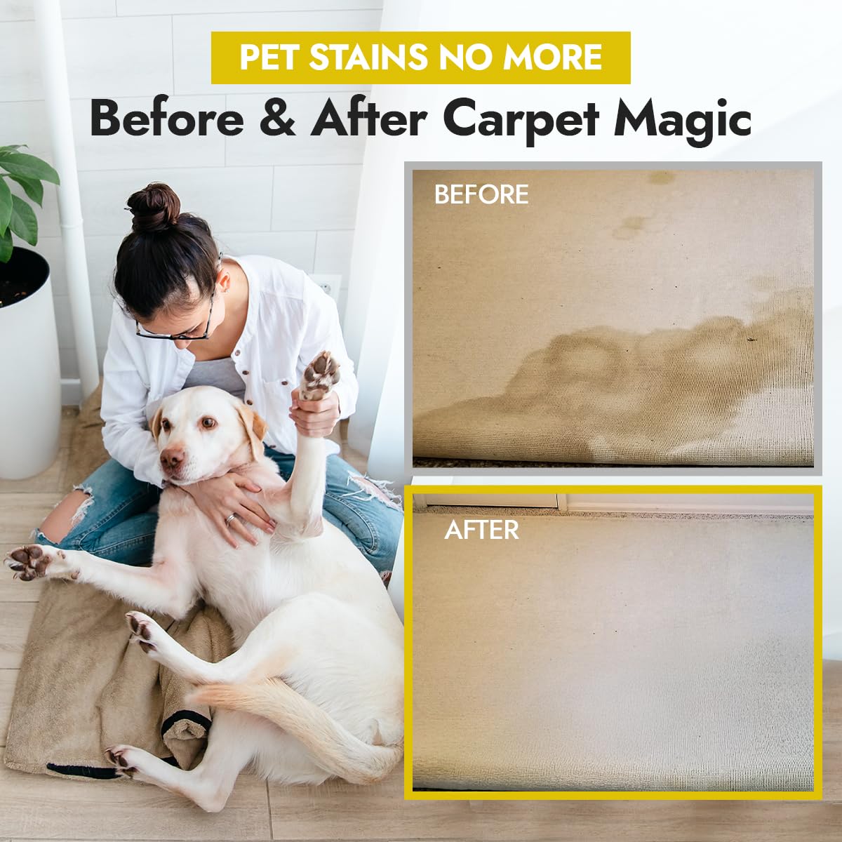 Enzyme Cleaner for Pet Urine (32 Fl Oz)