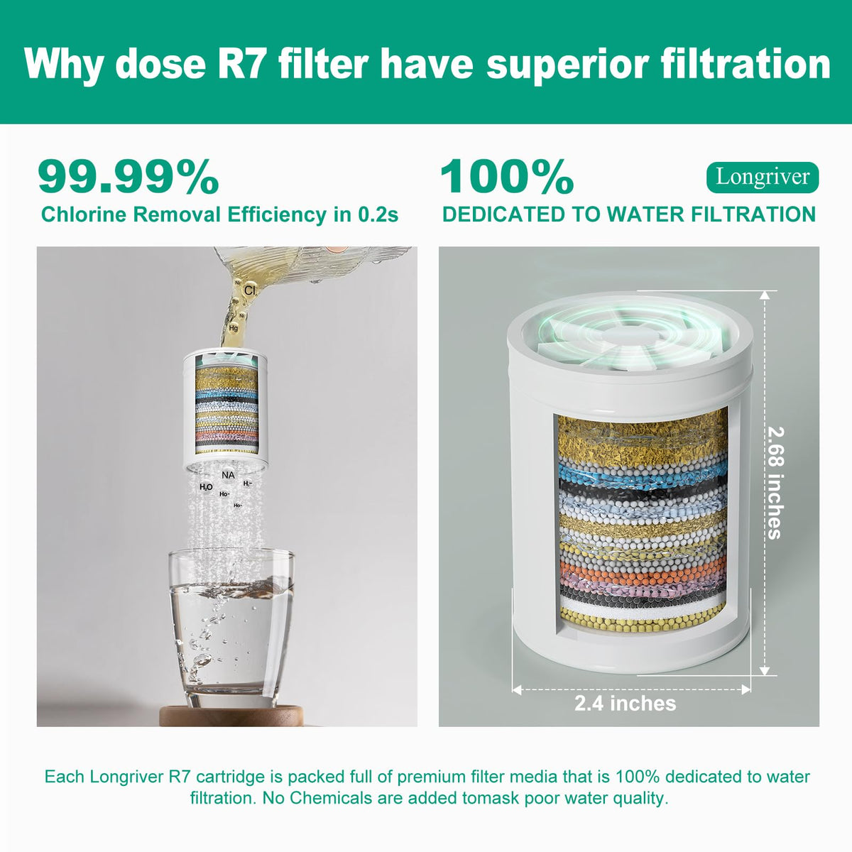 R7 Shower Filter with 2 Replacement Cartridges