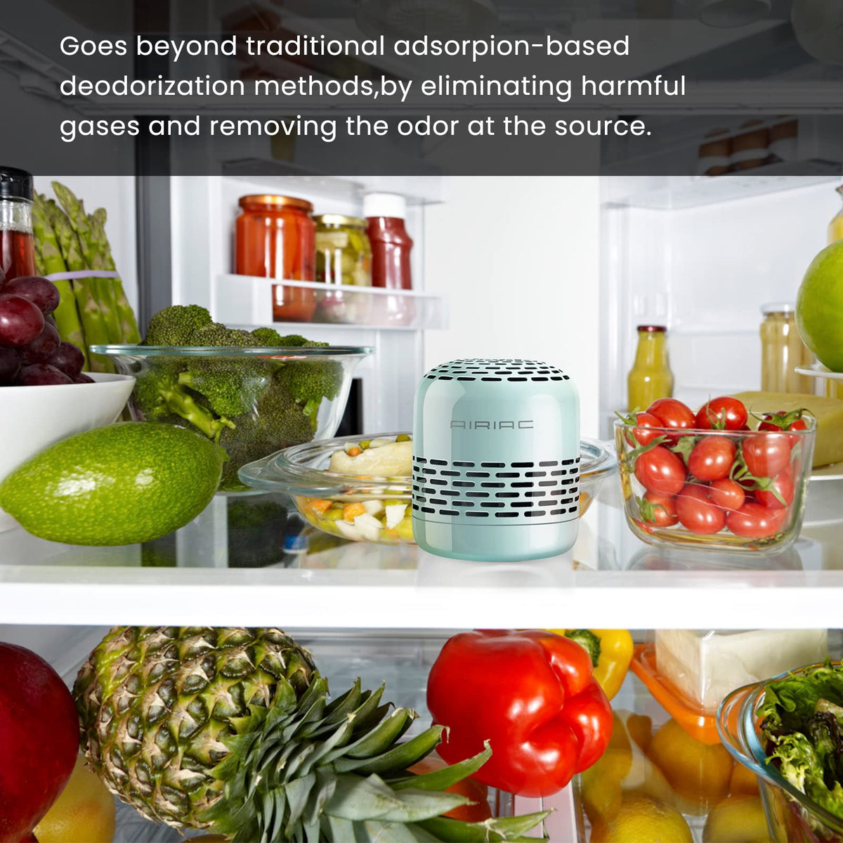 Fridge Deodorizer