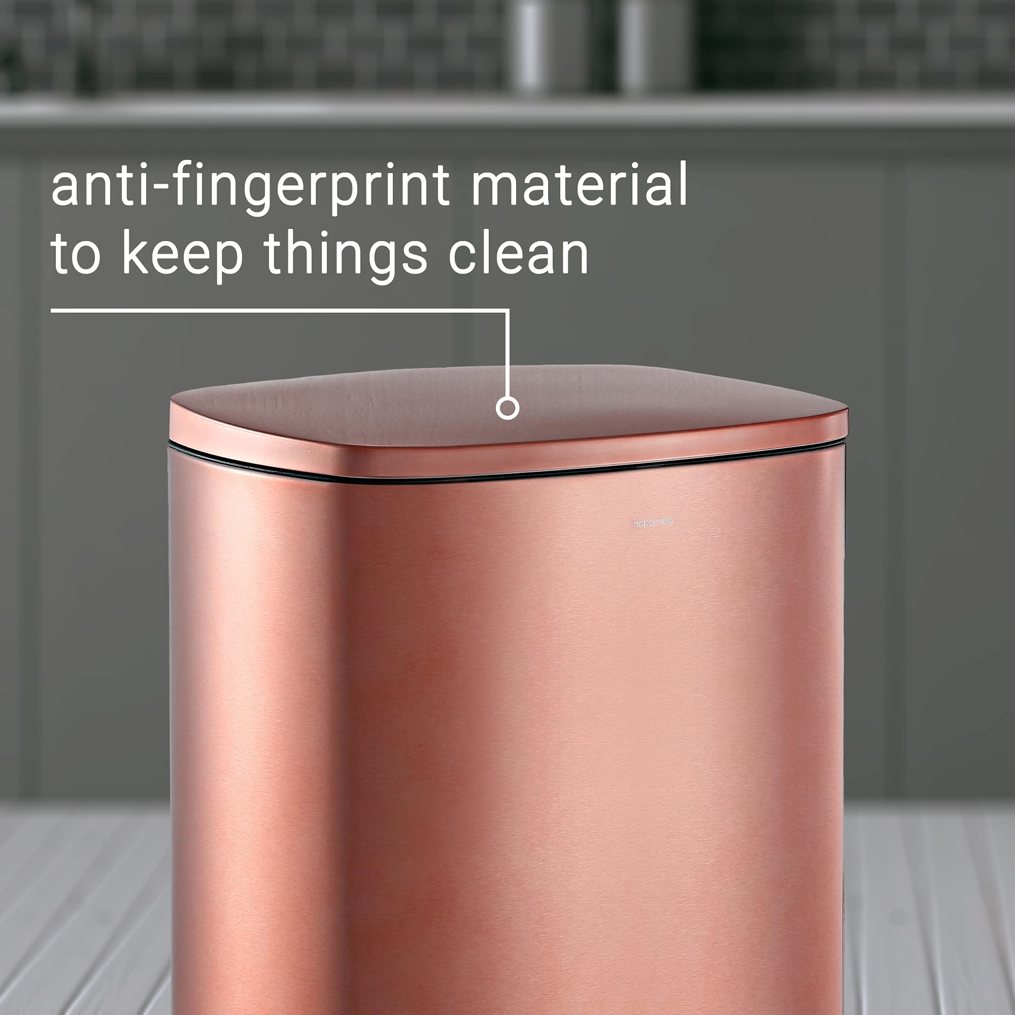 Connor 2 Piece Stainless Steel Trash Can (2 Count)