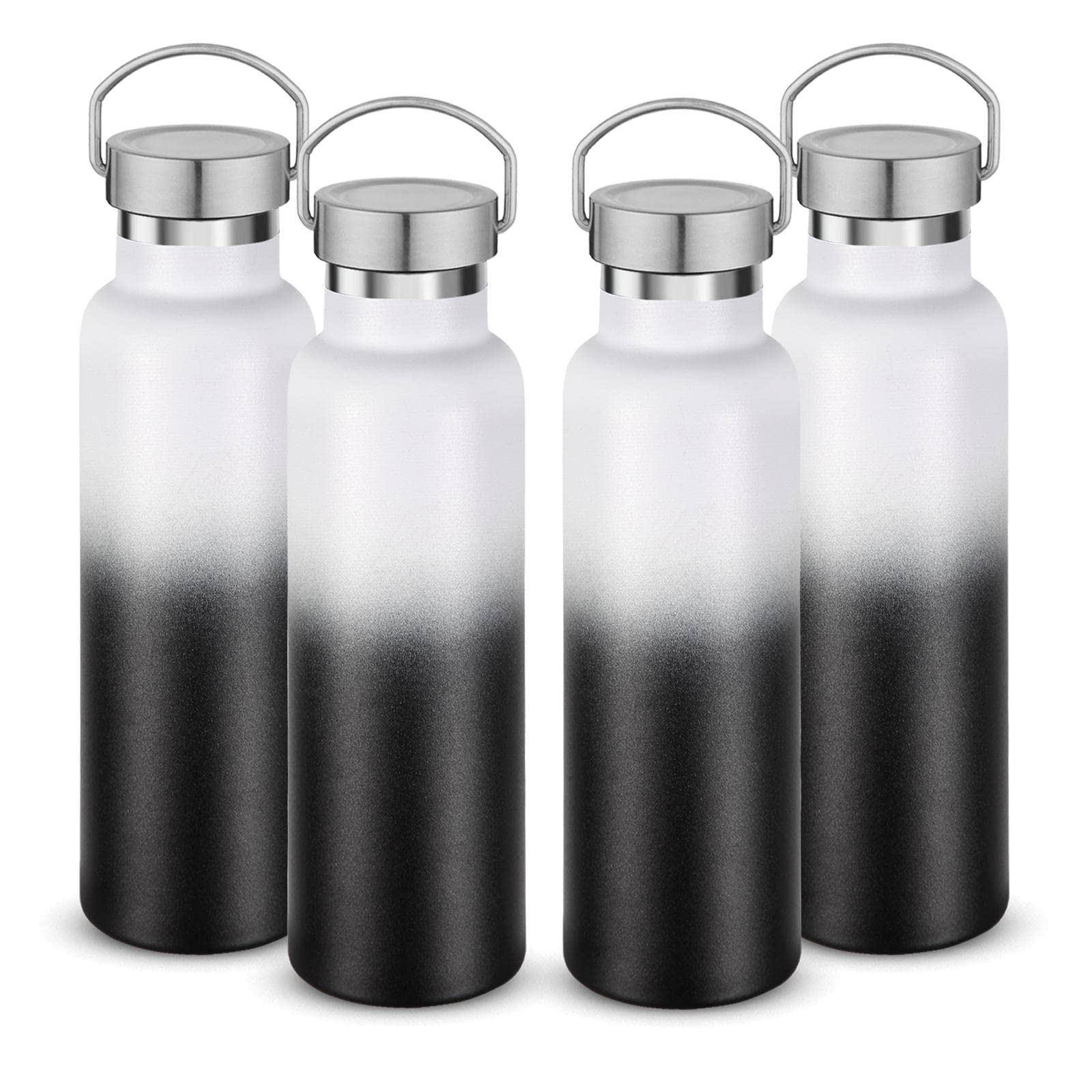 20 oz Insulated Water Bottles Bulk 4 Pack (4 Count)