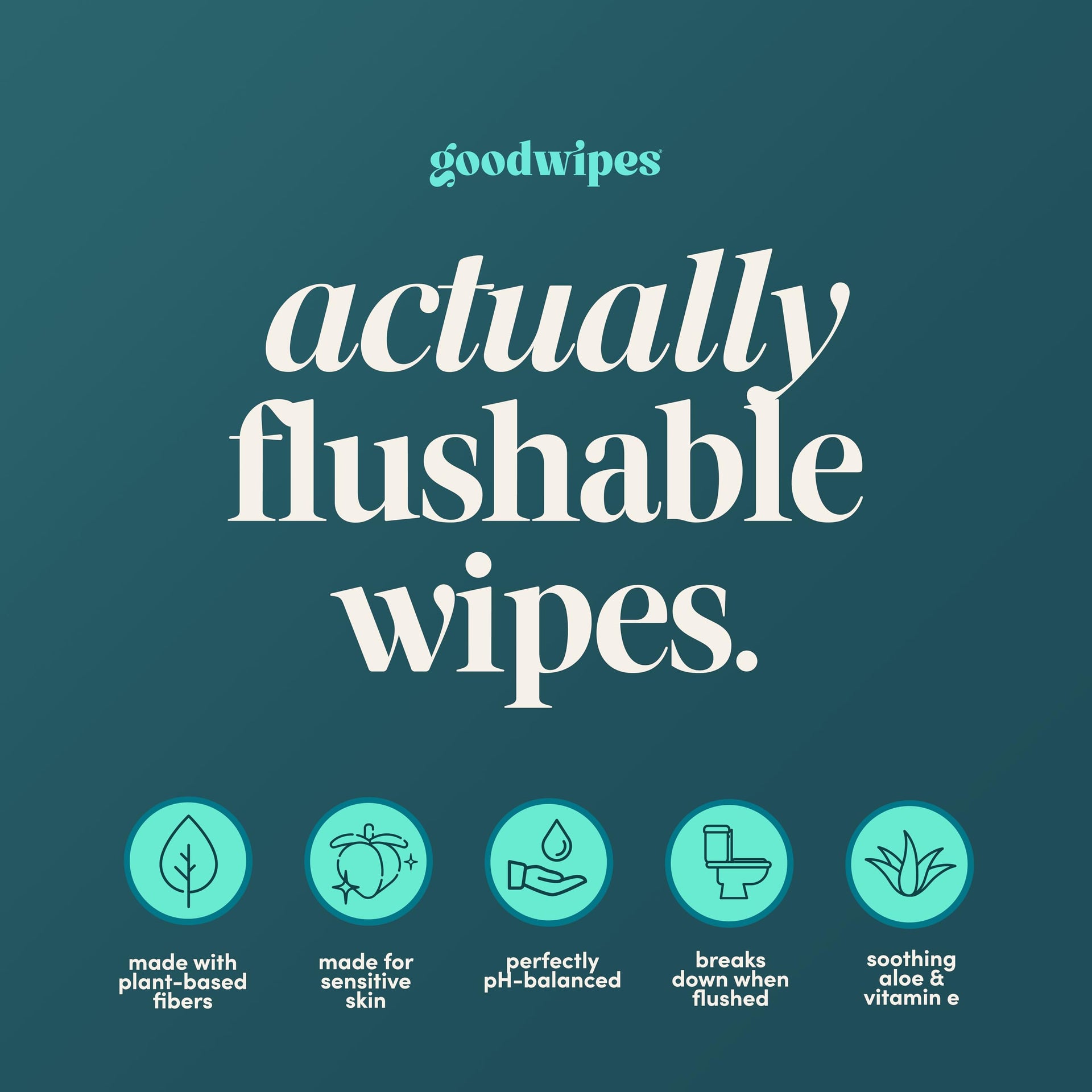 Flushable Wipes for Women (32 Count)