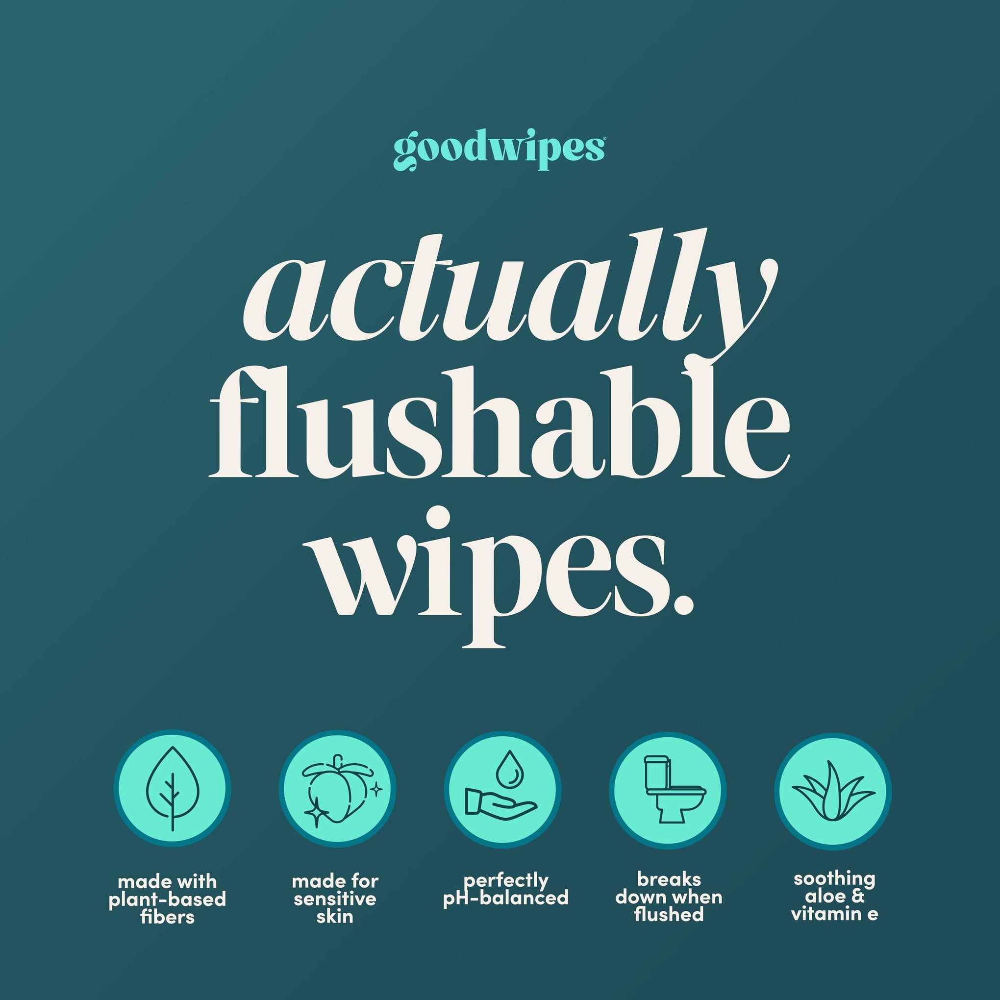Flushable Wipes for Women (32 Count)