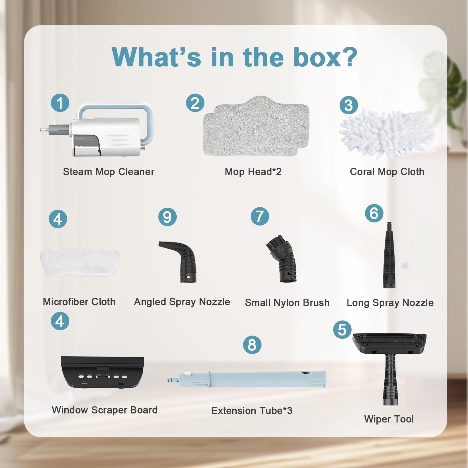 Steam Cleaner