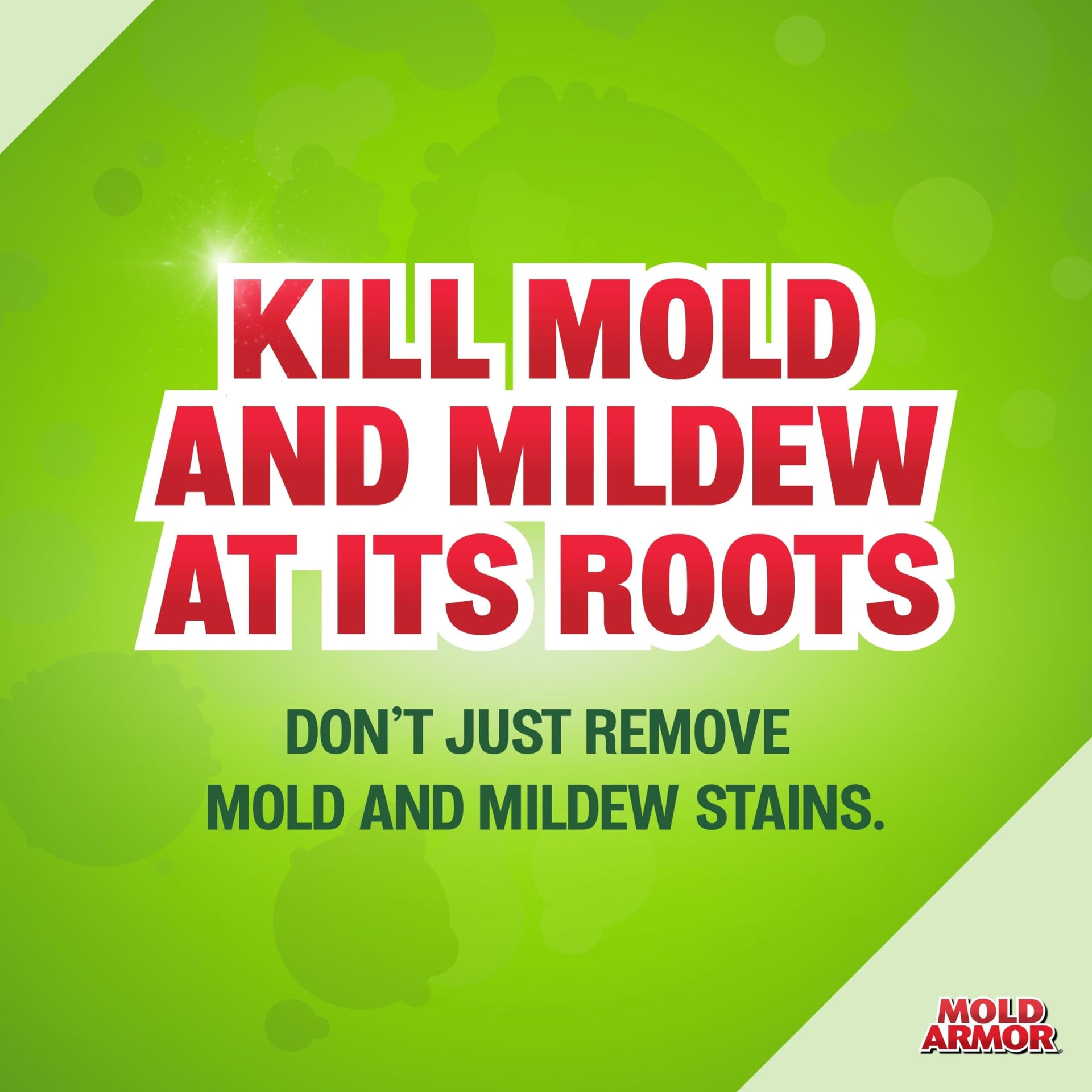 Professional Brand Mold Kill & Control Spray (32 Fl Oz)