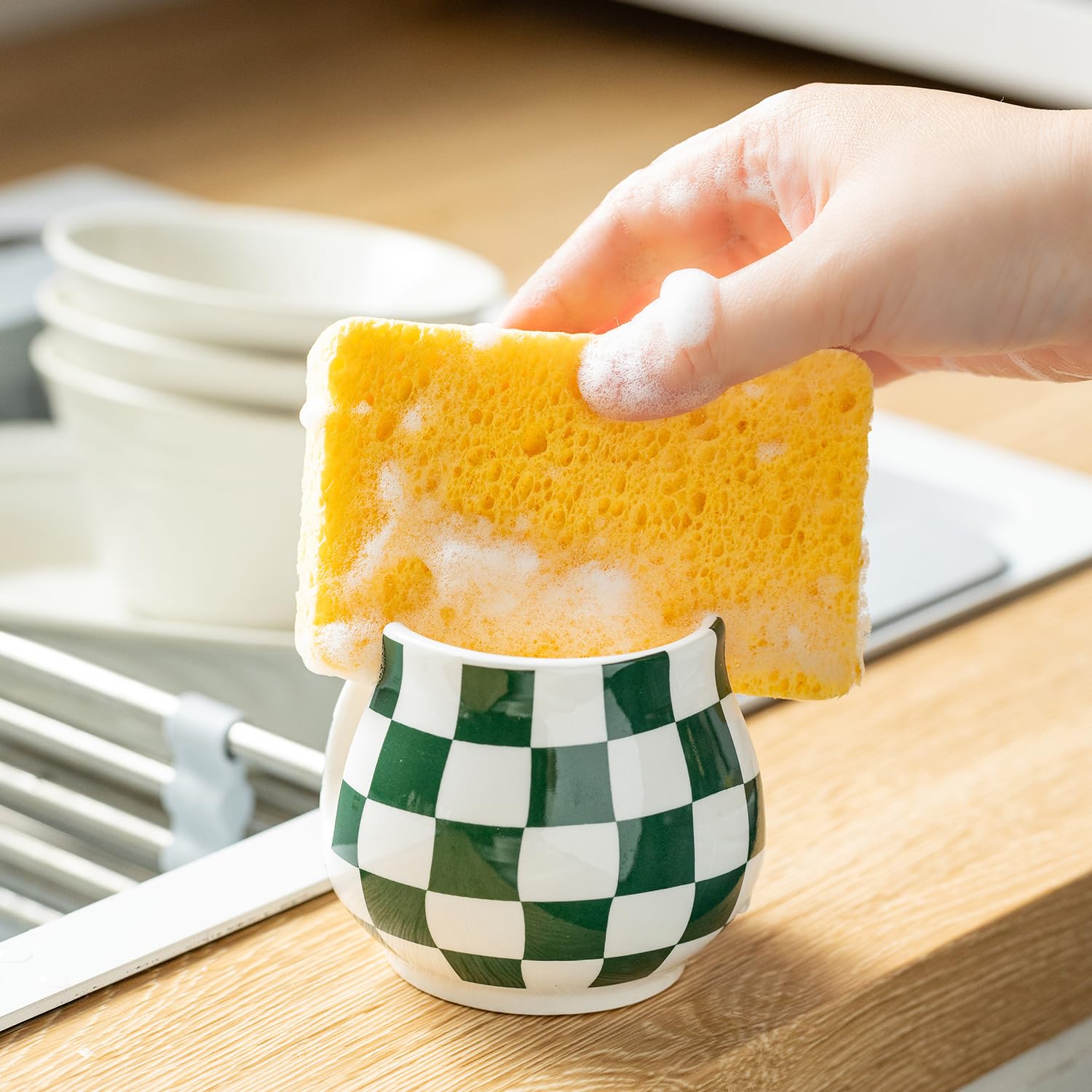 Kitchen Sponge Holder for Sink