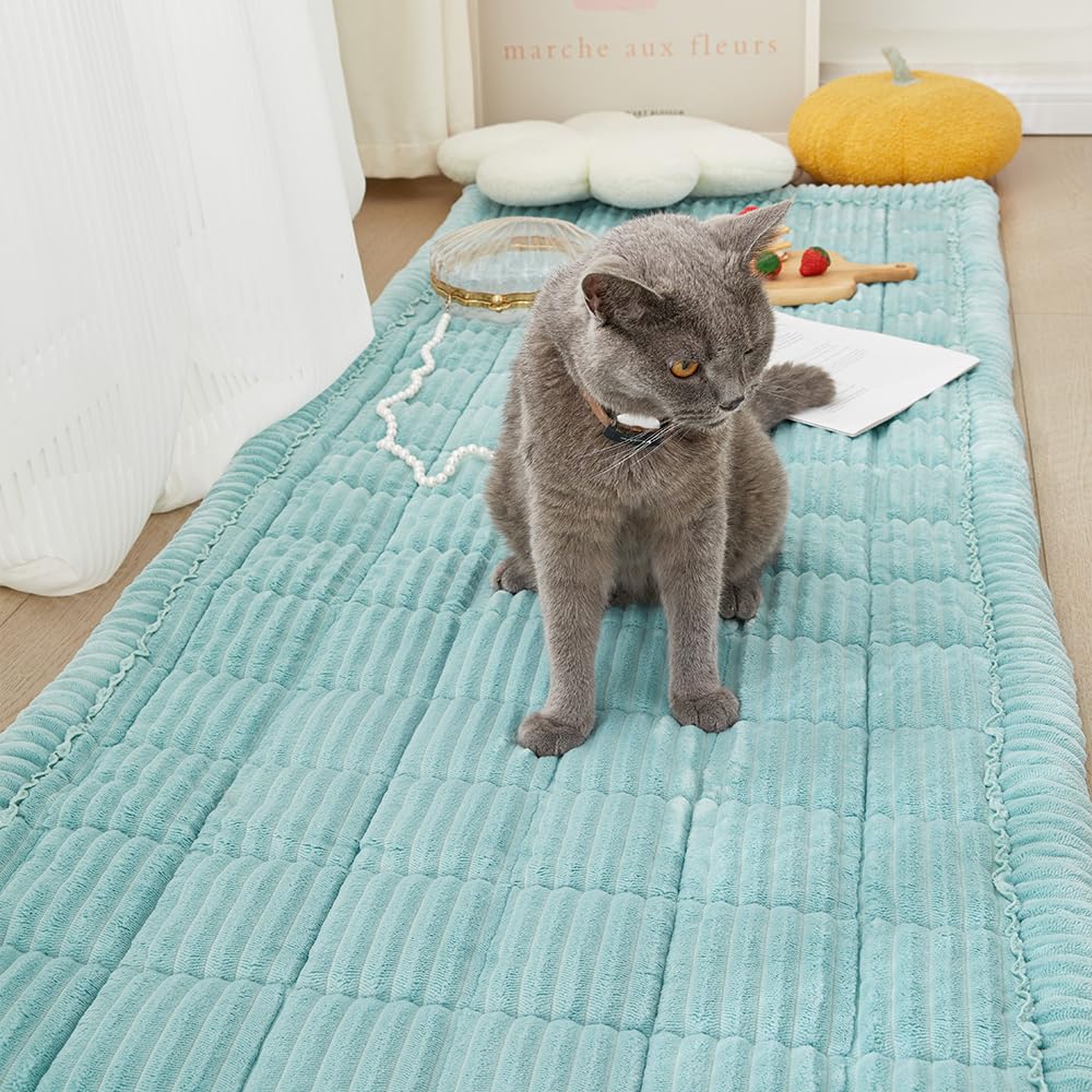 Couch Covers for Dogs Washable