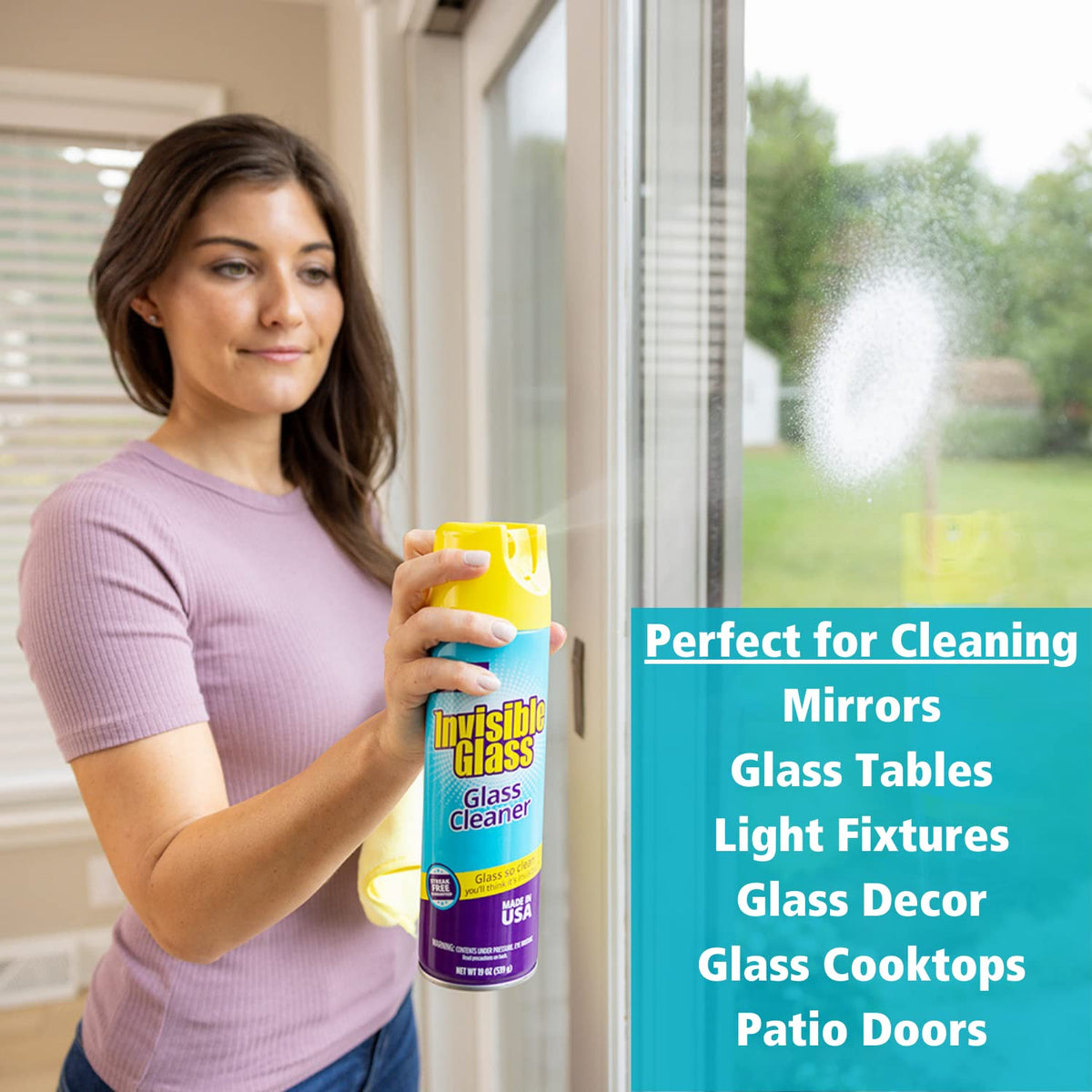 91160 Premium Aerosol Glass and Window Foaming Cleaner Spray (19 Ounce) - ModHome Supplies