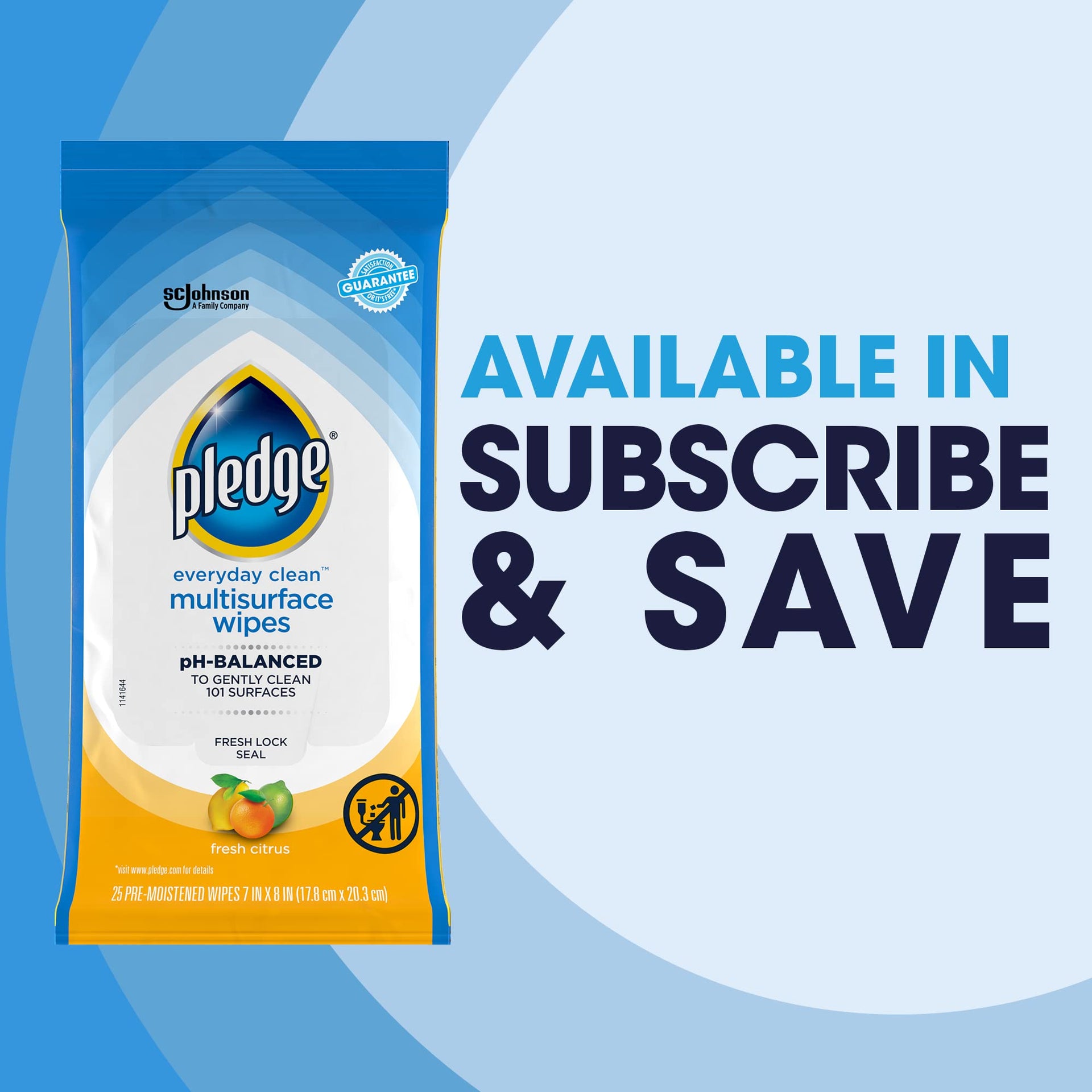 Multisurface Cleaning Wipes (3 Count)