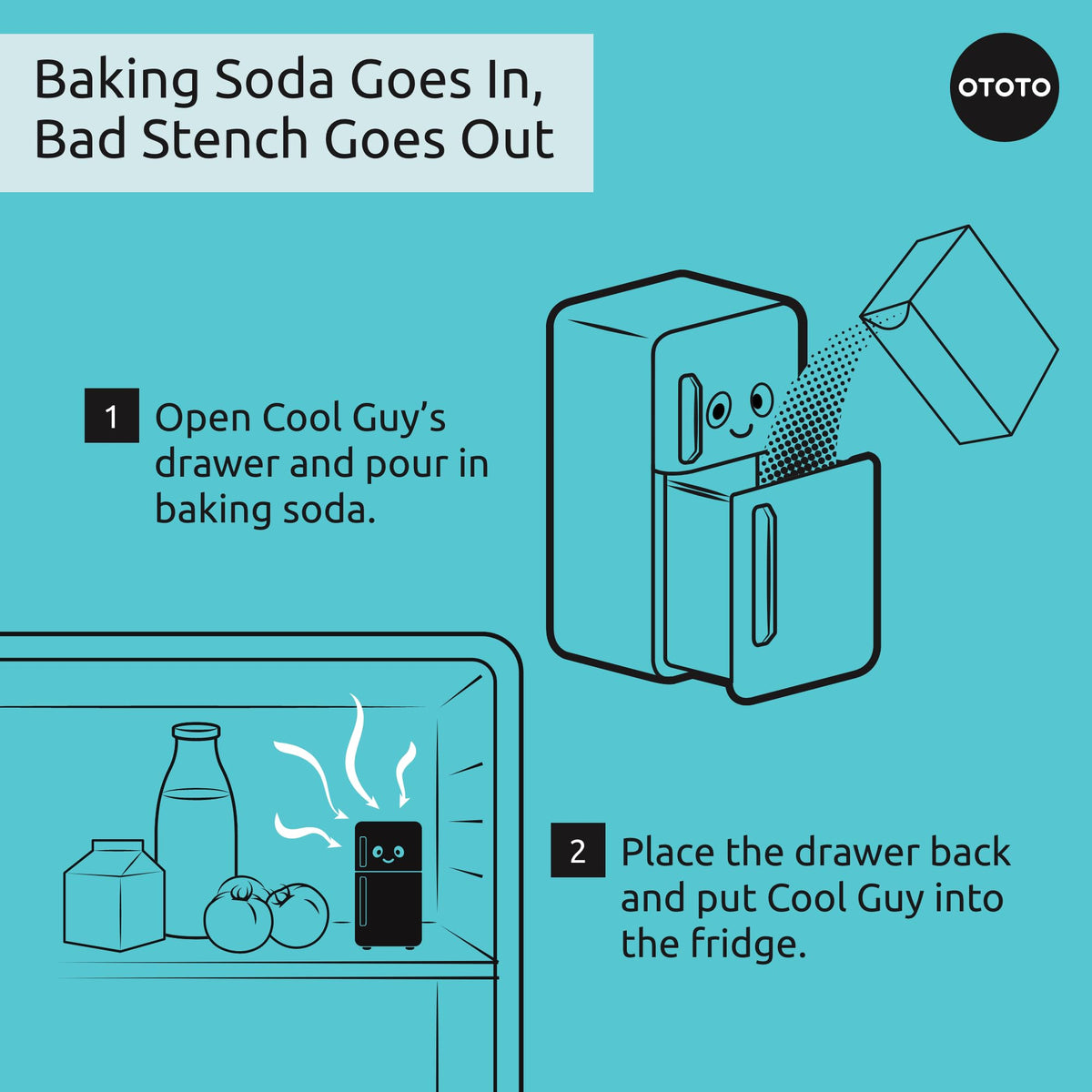 Fridge Deodorizer