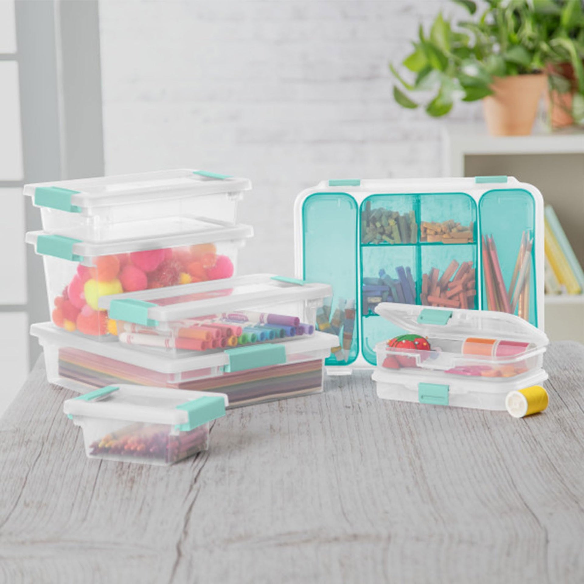 Small Clip Box (6 Count)