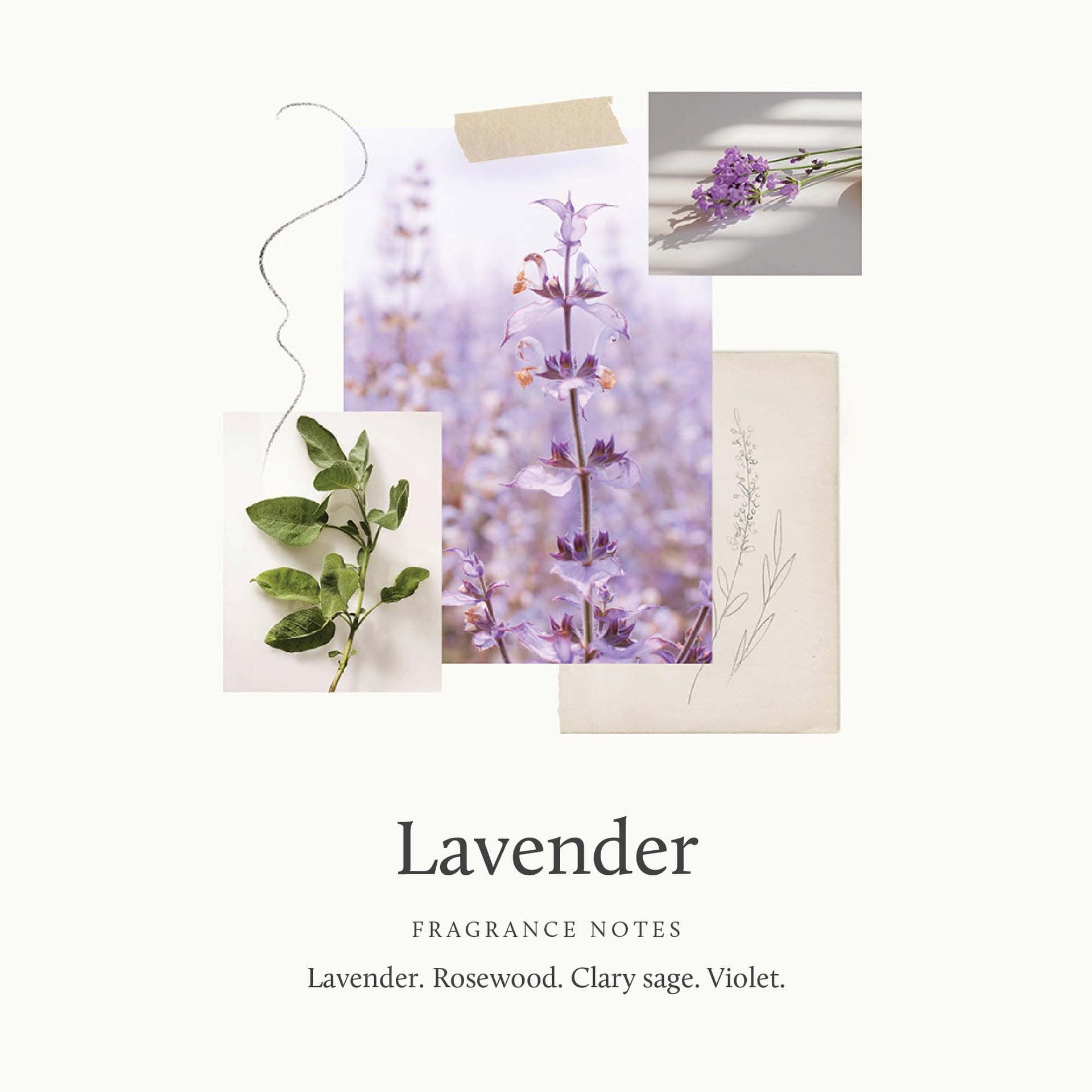 Reed Diffuser Oil (7.75 Fl Oz)