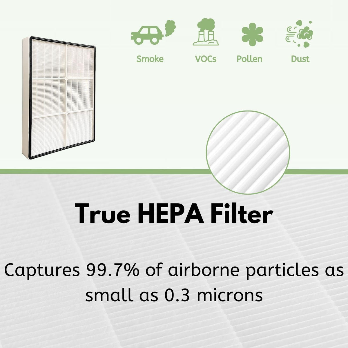 True HEPA Filter