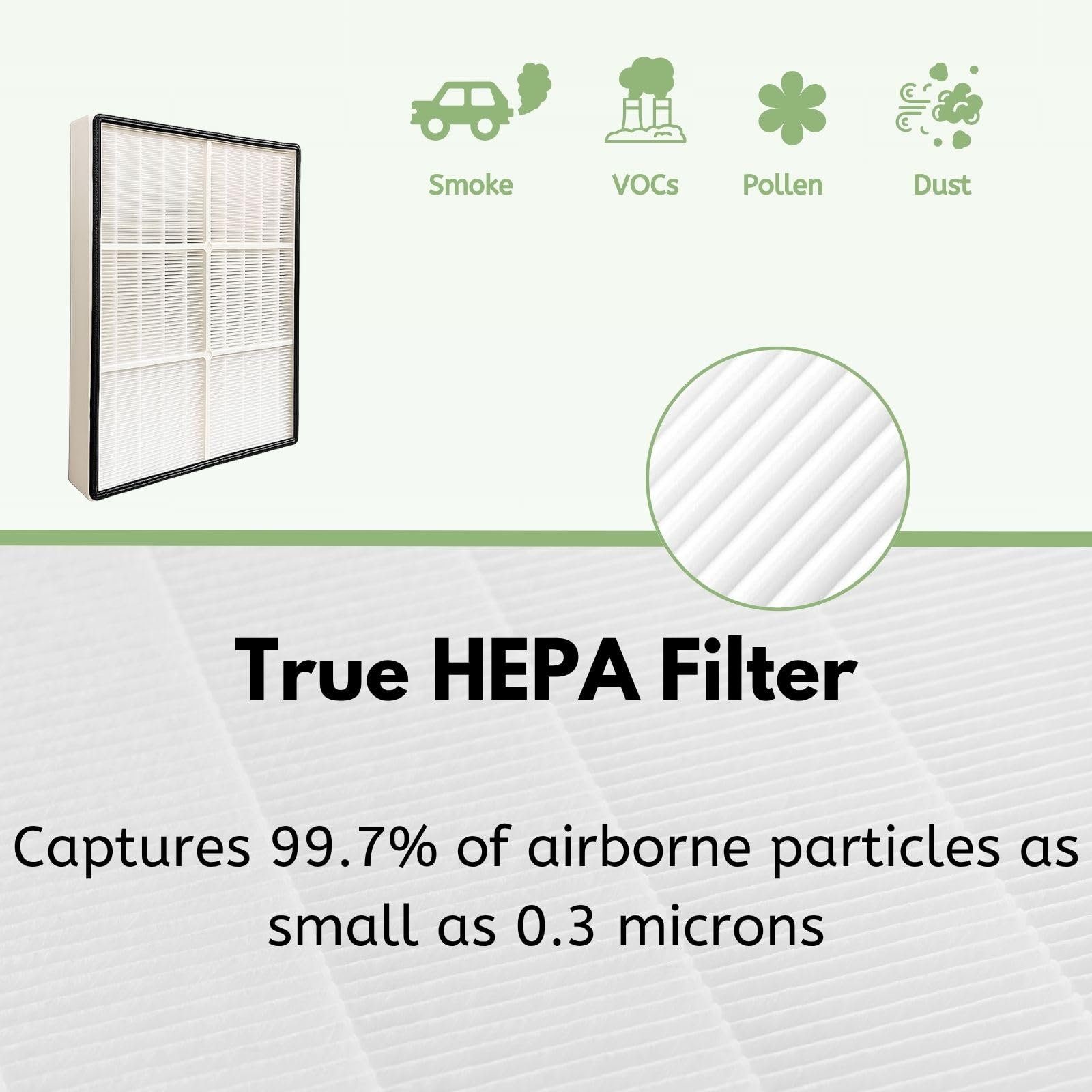 True HEPA Filter