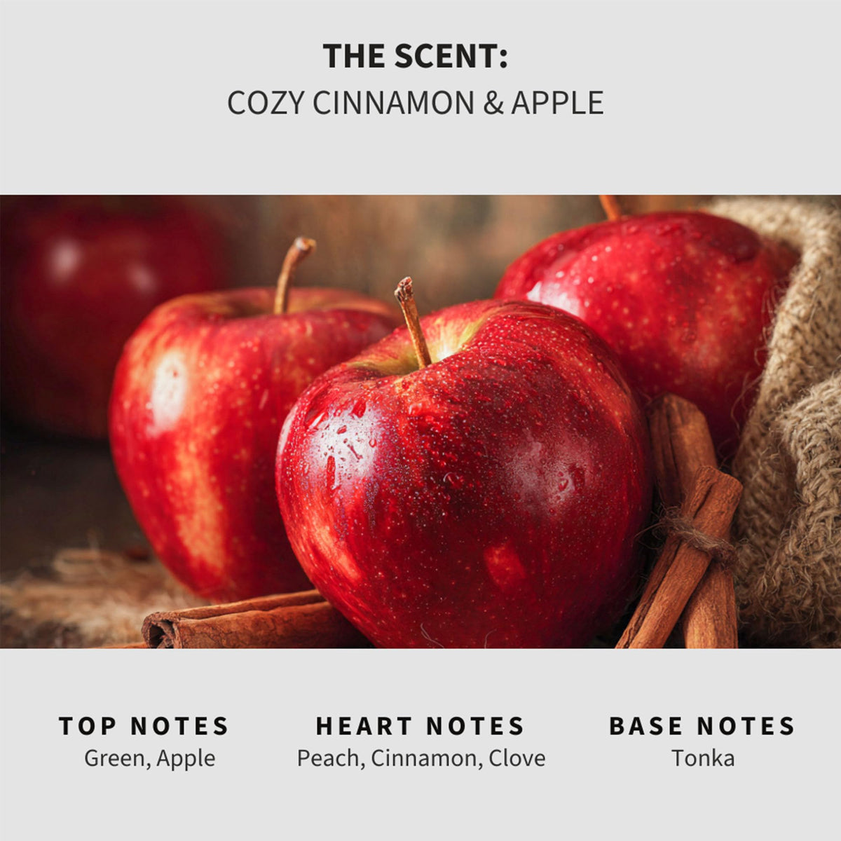 Cozy Cinnamon & Apple Carpet Deodorizer Powder (16 Ounce)