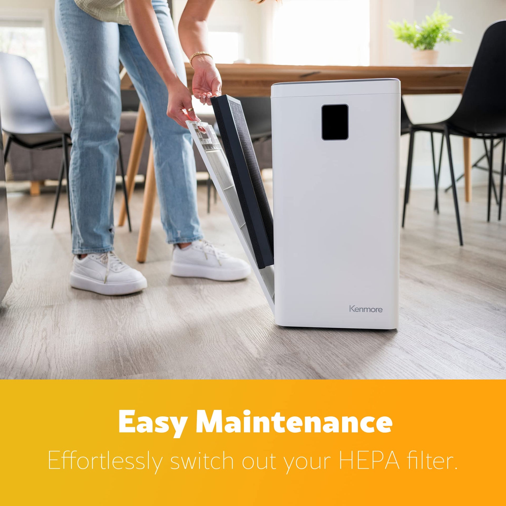 Air Purifier with H13 True HEPA Filter