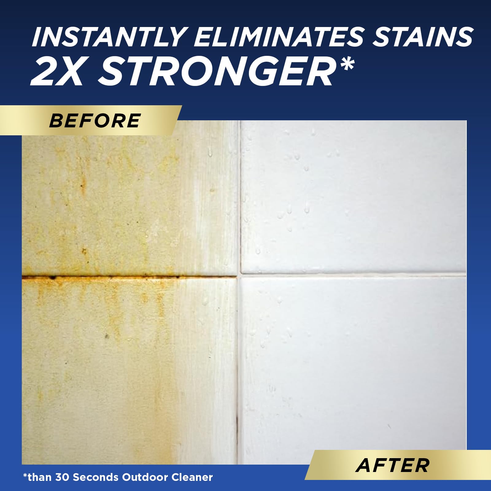 Pro Mold and Mildew Stain Remover (160 Fl Oz)