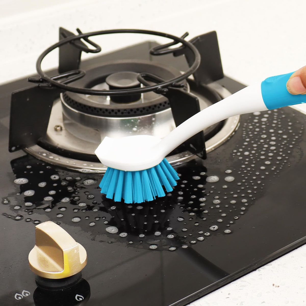 Dish Brush with Handle (2 Count)