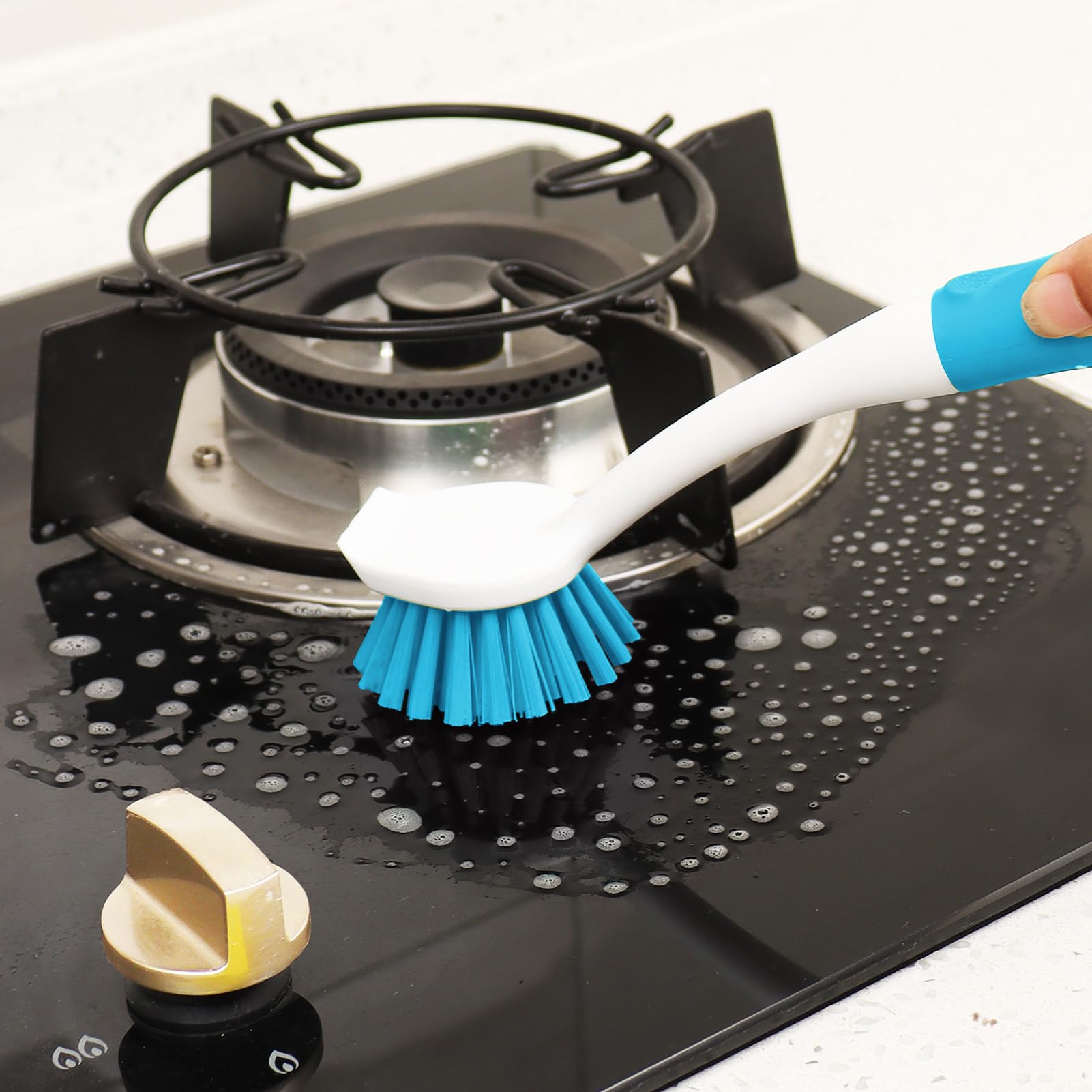 Dish Brush with Handle (2 Count)