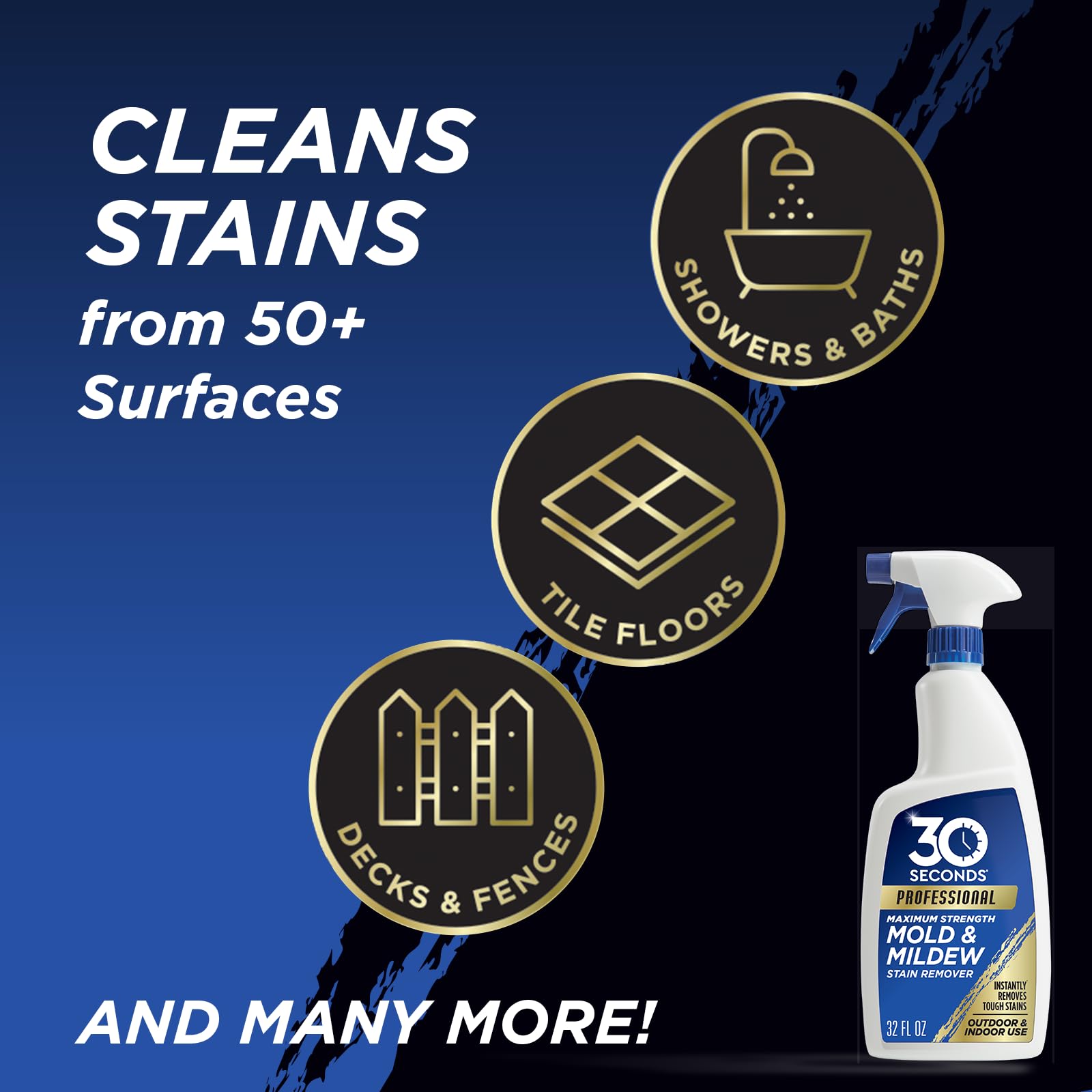 Pro Mold and Mildew Stain Remover (160 Fl Oz)