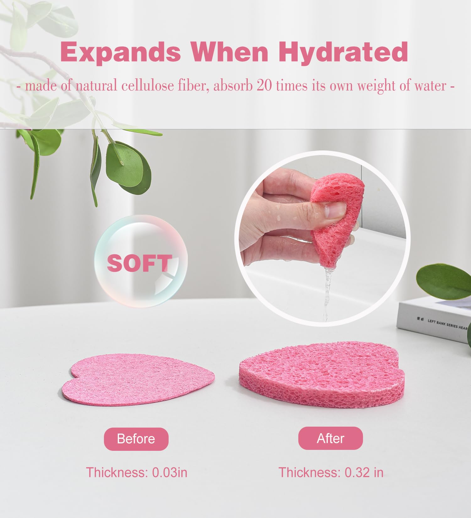 50 Count Compressed Facial Sponges for Estheticians