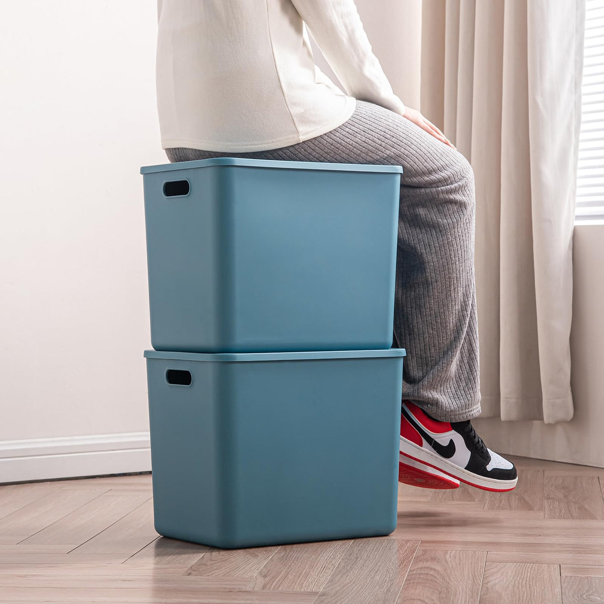 Plastic Storage Bins with lids (4 Count)