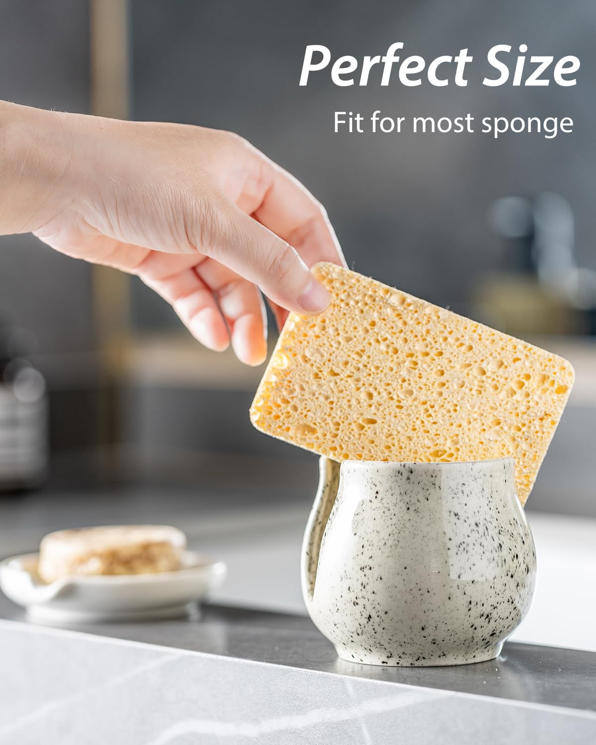 Sponge Holder for Kitchen Sink