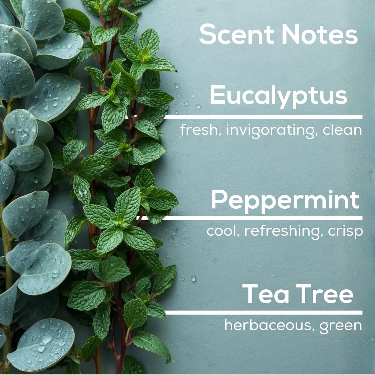 Eucalyptus Spearmint Plug in Air Freshener (2.72 Fl Oz)