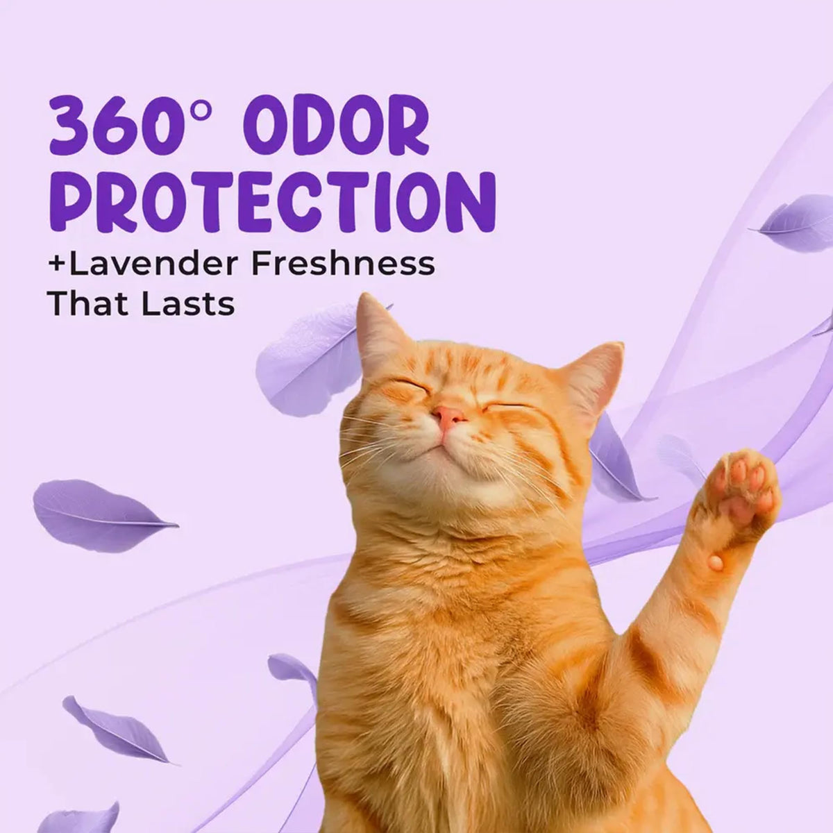 Cat Deodorant Beads (32 Ounce)