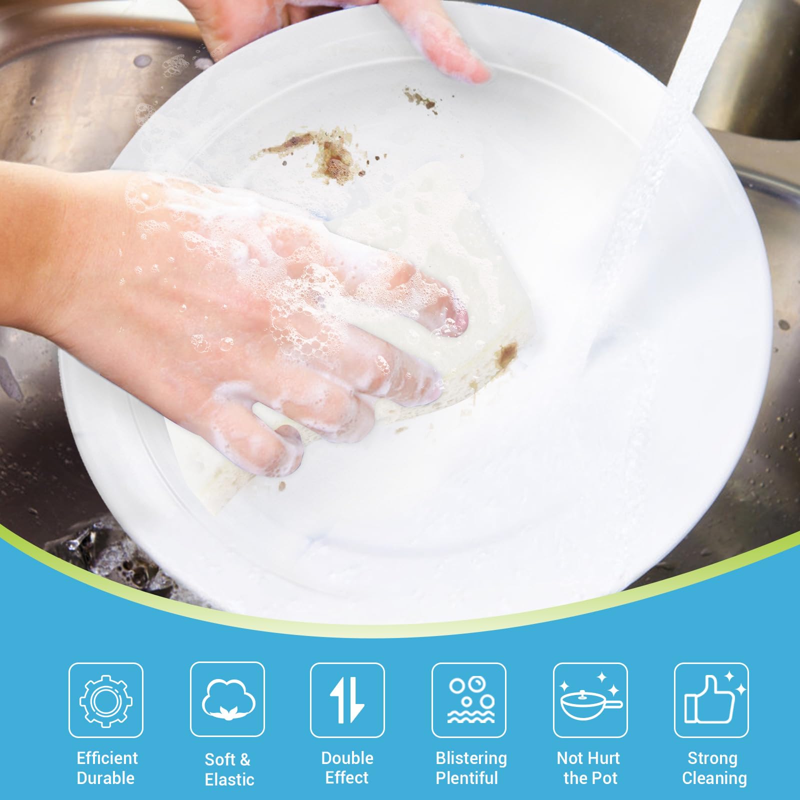 Non Scratch Scrub Sponge (6 Count)