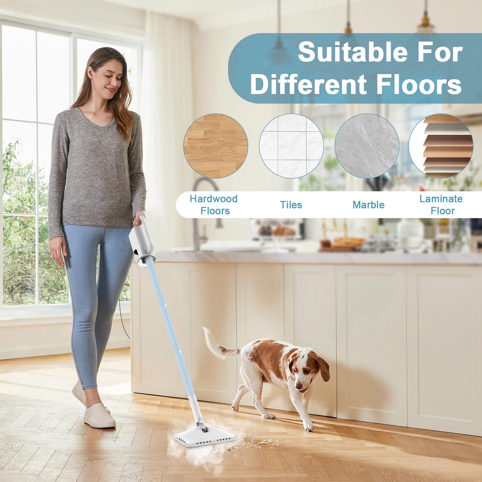 Steam Cleaner