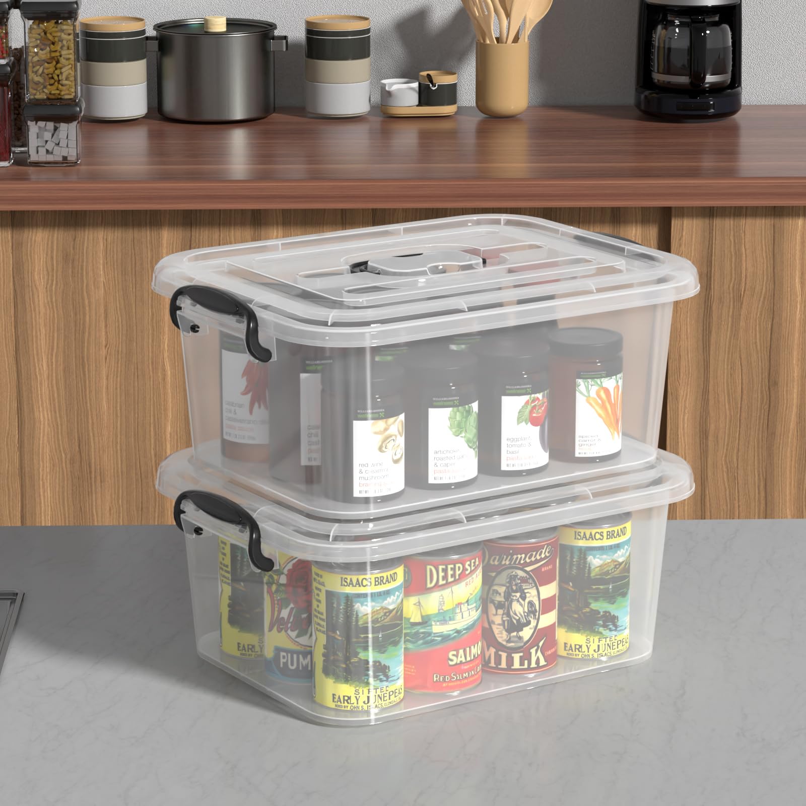 8 Quart Clear Plastic Storage Latching Bin with Handle (2 Count)