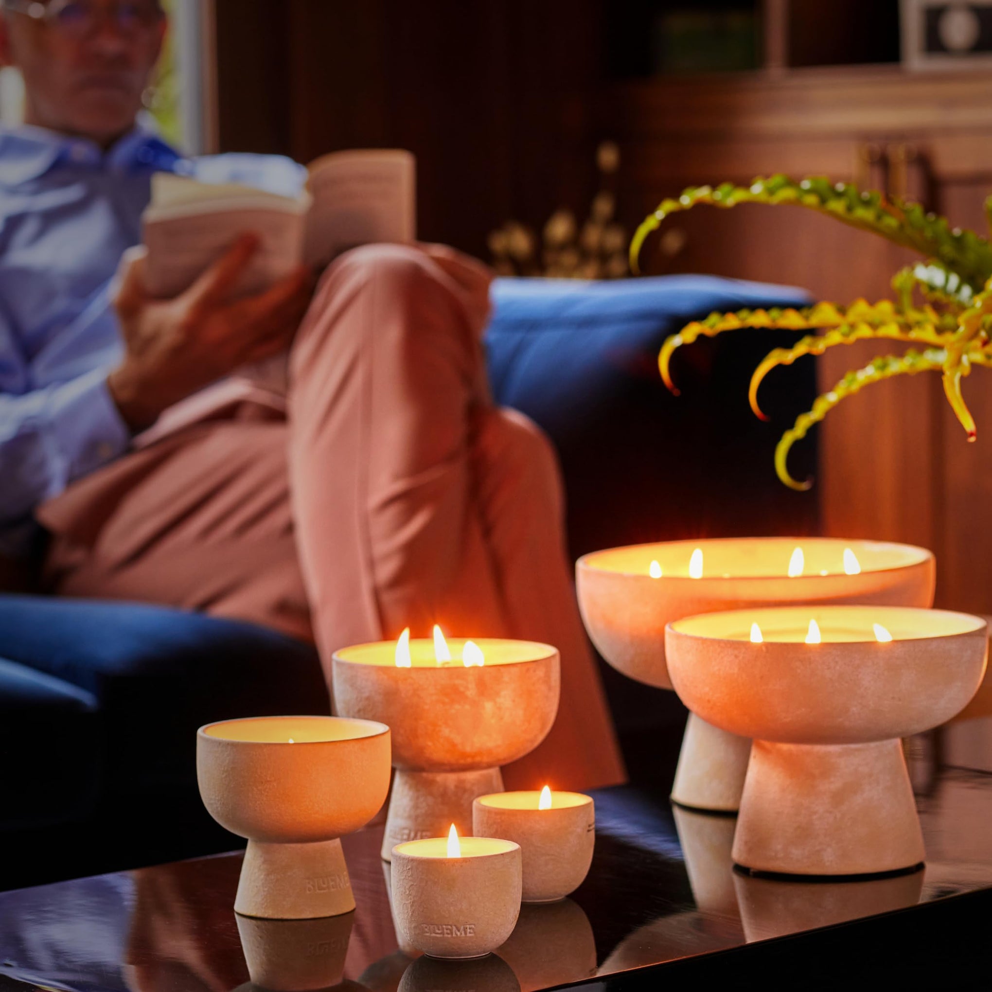 Wellness Candle Refill (12 Ounce)