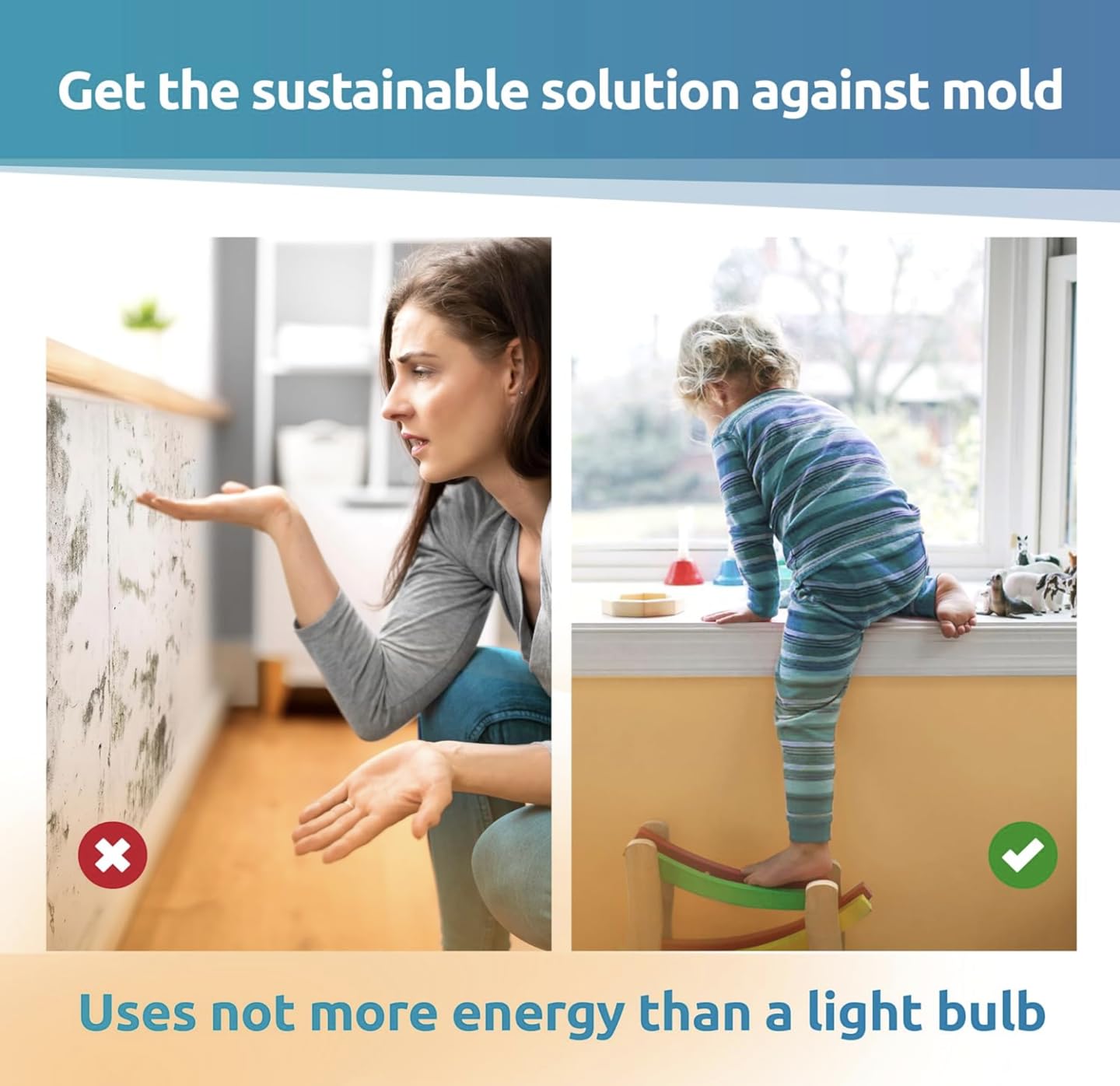 Mold killer Black mold remover for walls without chemicals