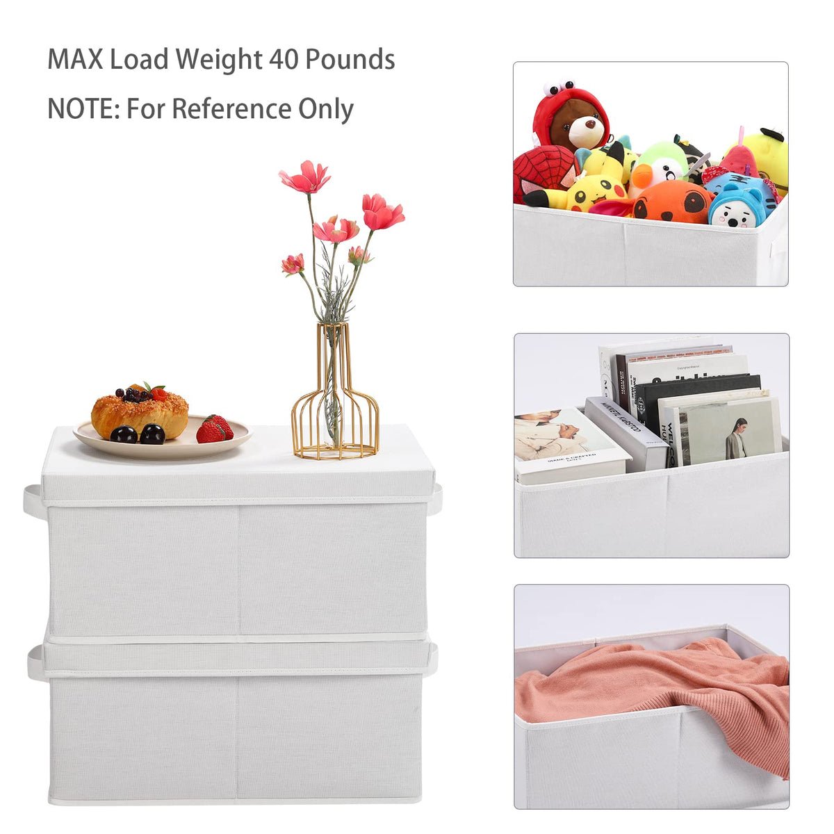 Storage Bins with Lids for Organizing (2 Count)