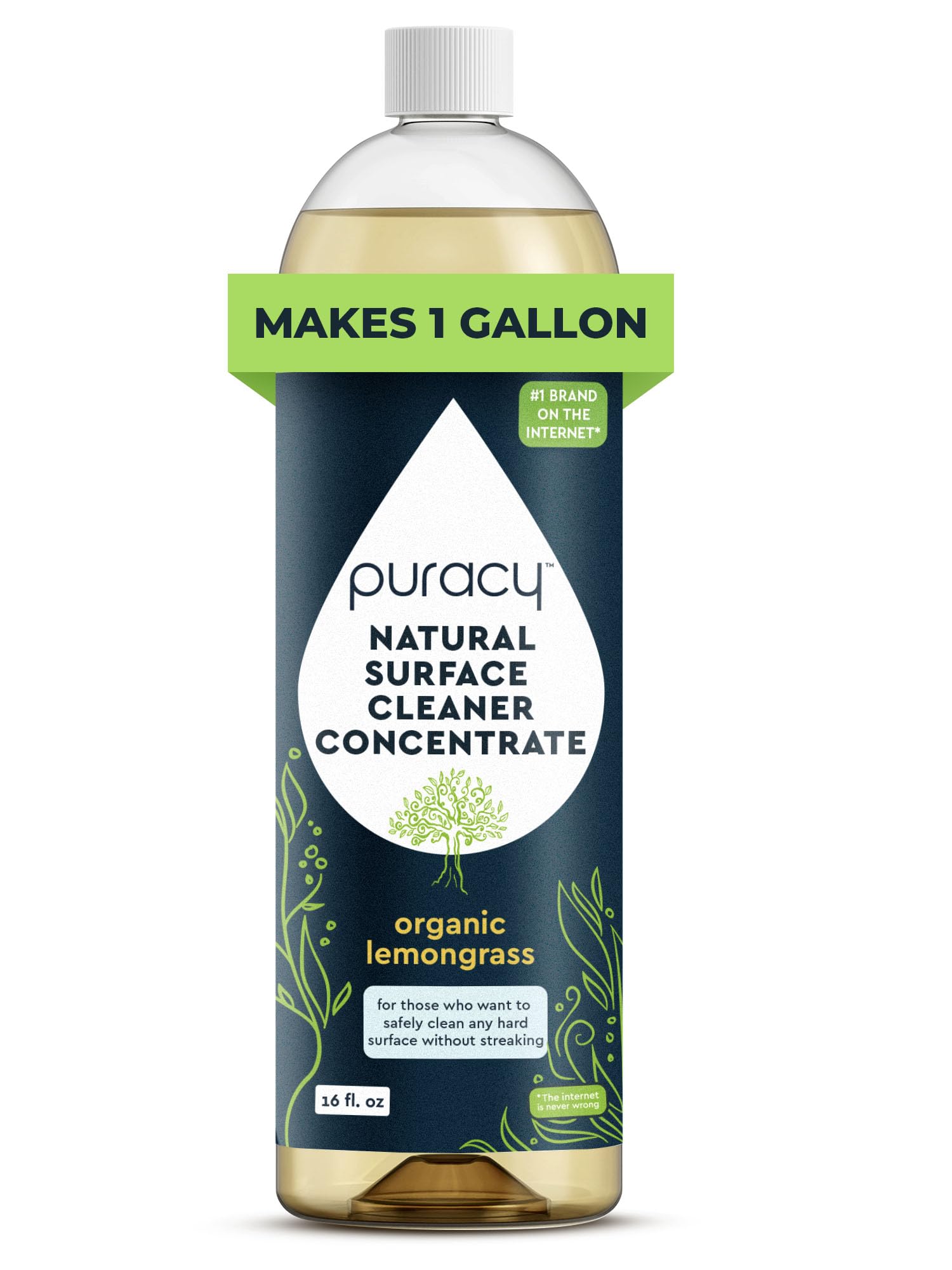 All Purpose Cleaner Concentrate (16 Fl Oz) - ModHome Supplies