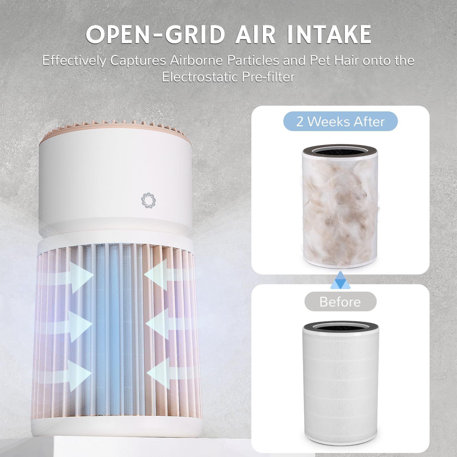 H13 HEPA Air Purifier Up to 2000 sq.ft