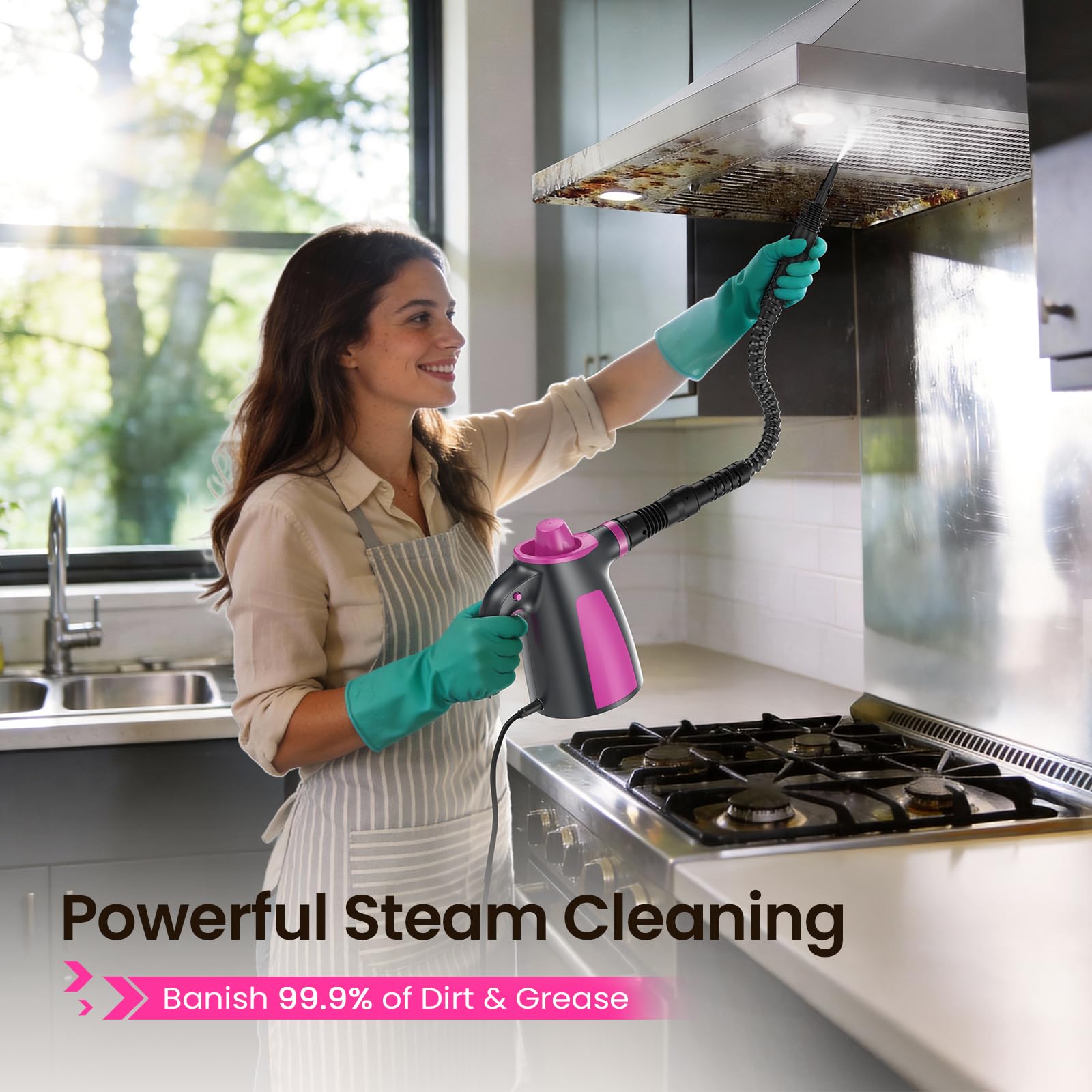 12Pcs Pressurized Handheld Steam Cleaner