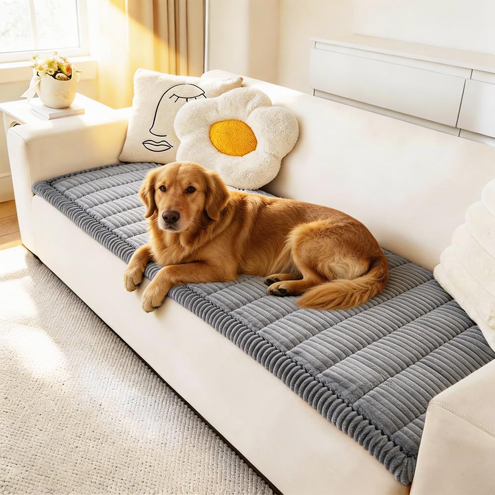 Couch Covers for Dogs Washable