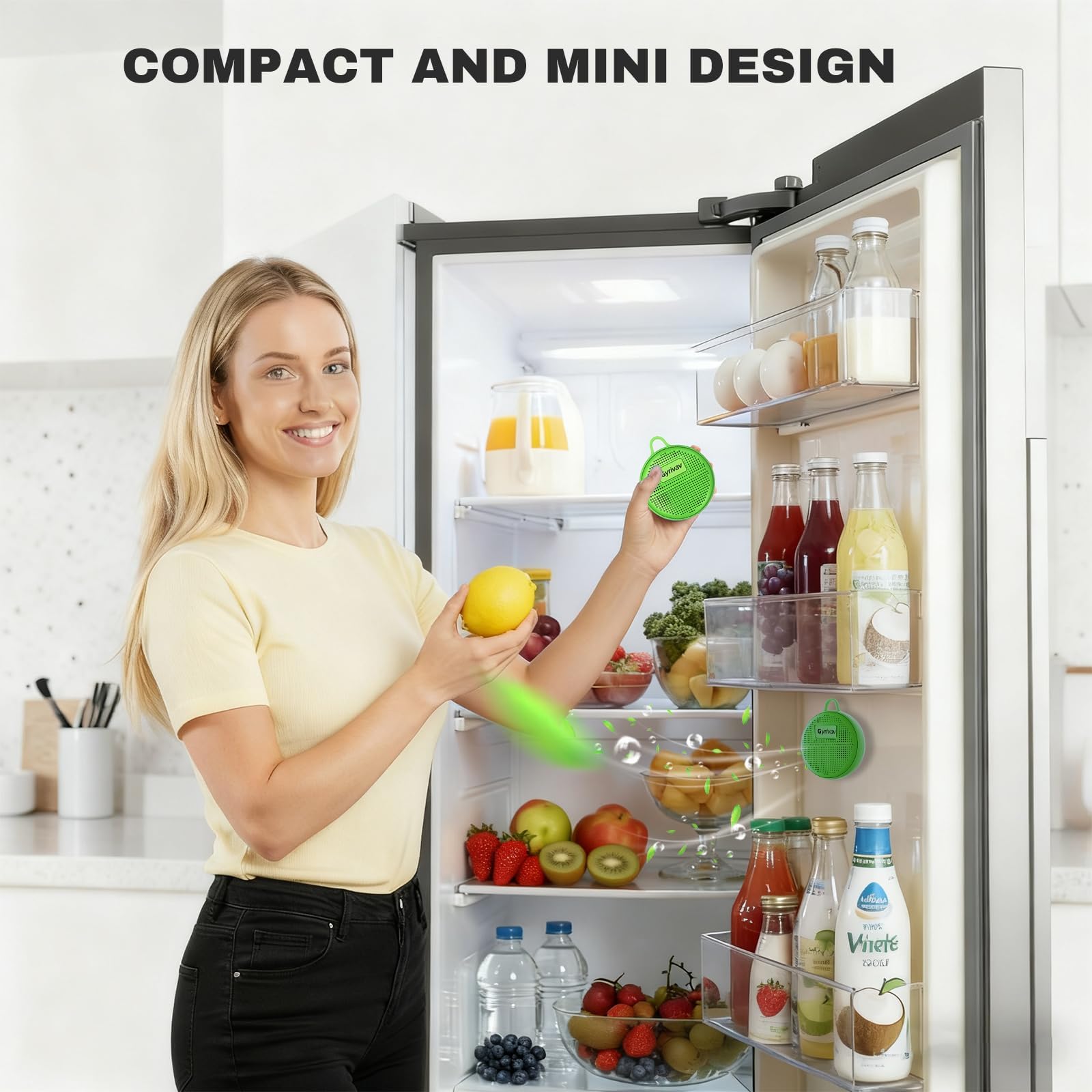 Refrigerator Deodorizer