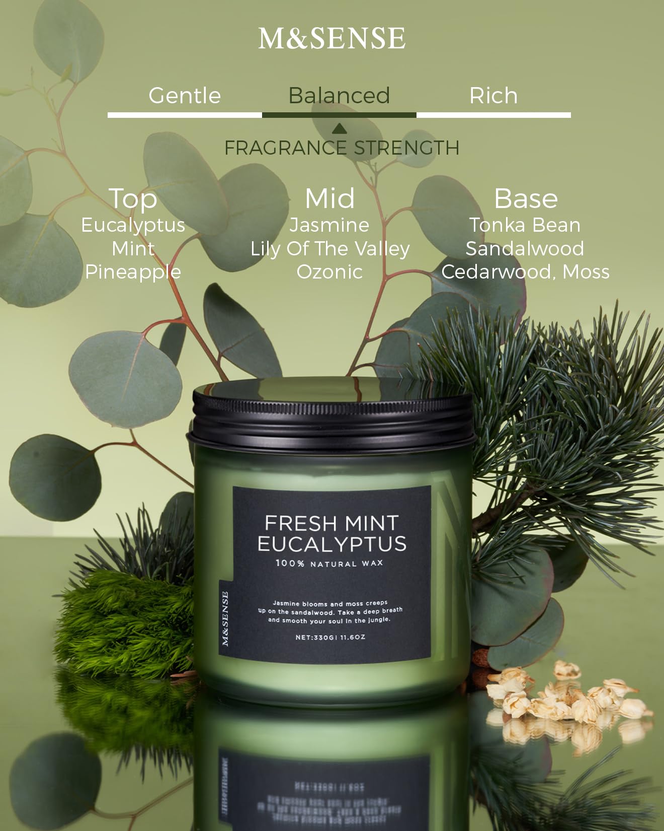 Eucalyptus & Mint Home Scented Candles (11.6 Ounce)