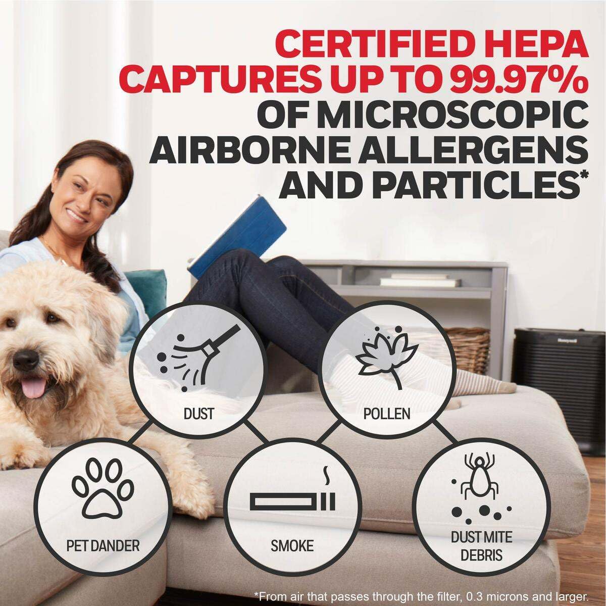 HEPA Air Purifier Filter R (3 Count)