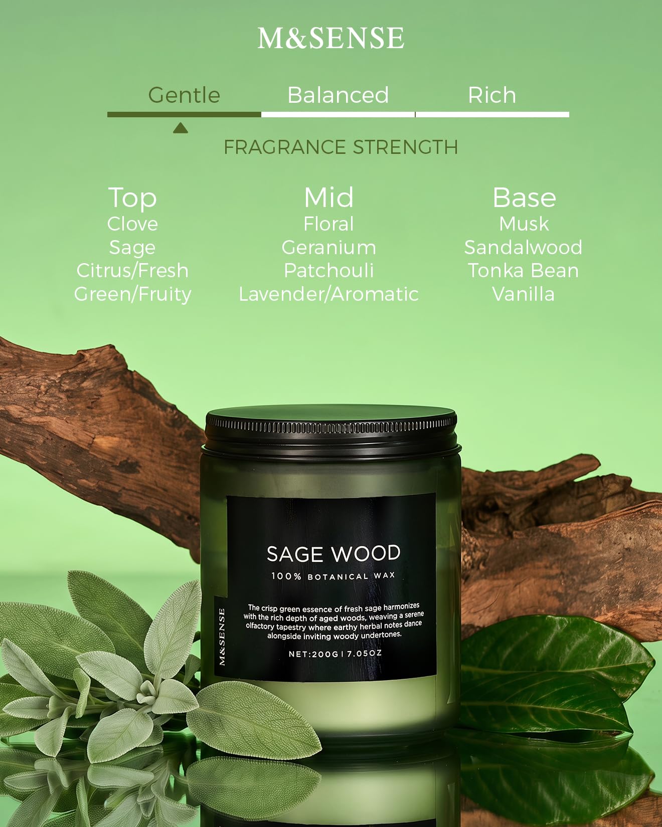 Sage Wood Scented Candles for Home (7.05 Ounce)
