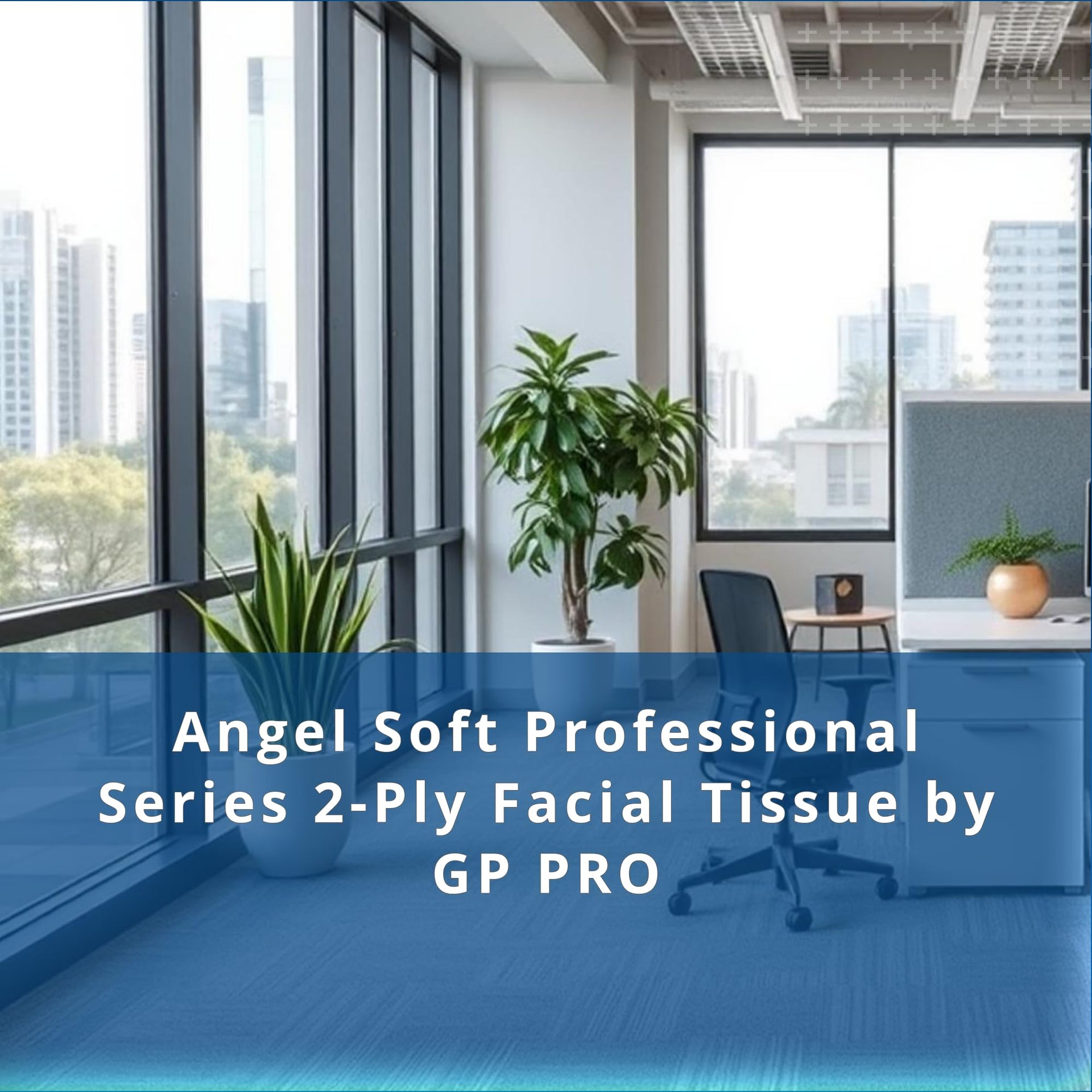 Georgia Pacific Angel Soft Professional Series 2 (3456 Count)