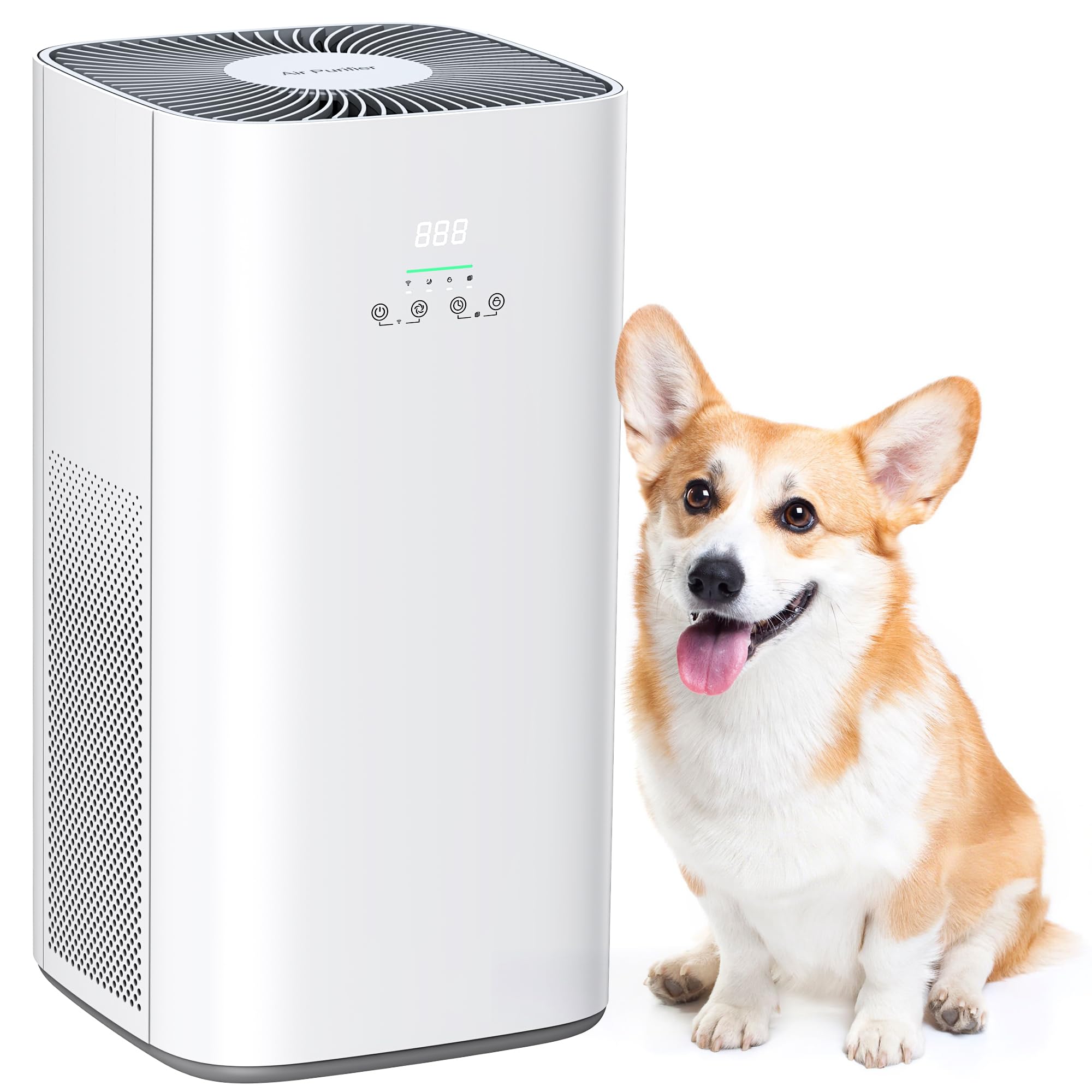 Air Purifier for Home Large Room & Pets