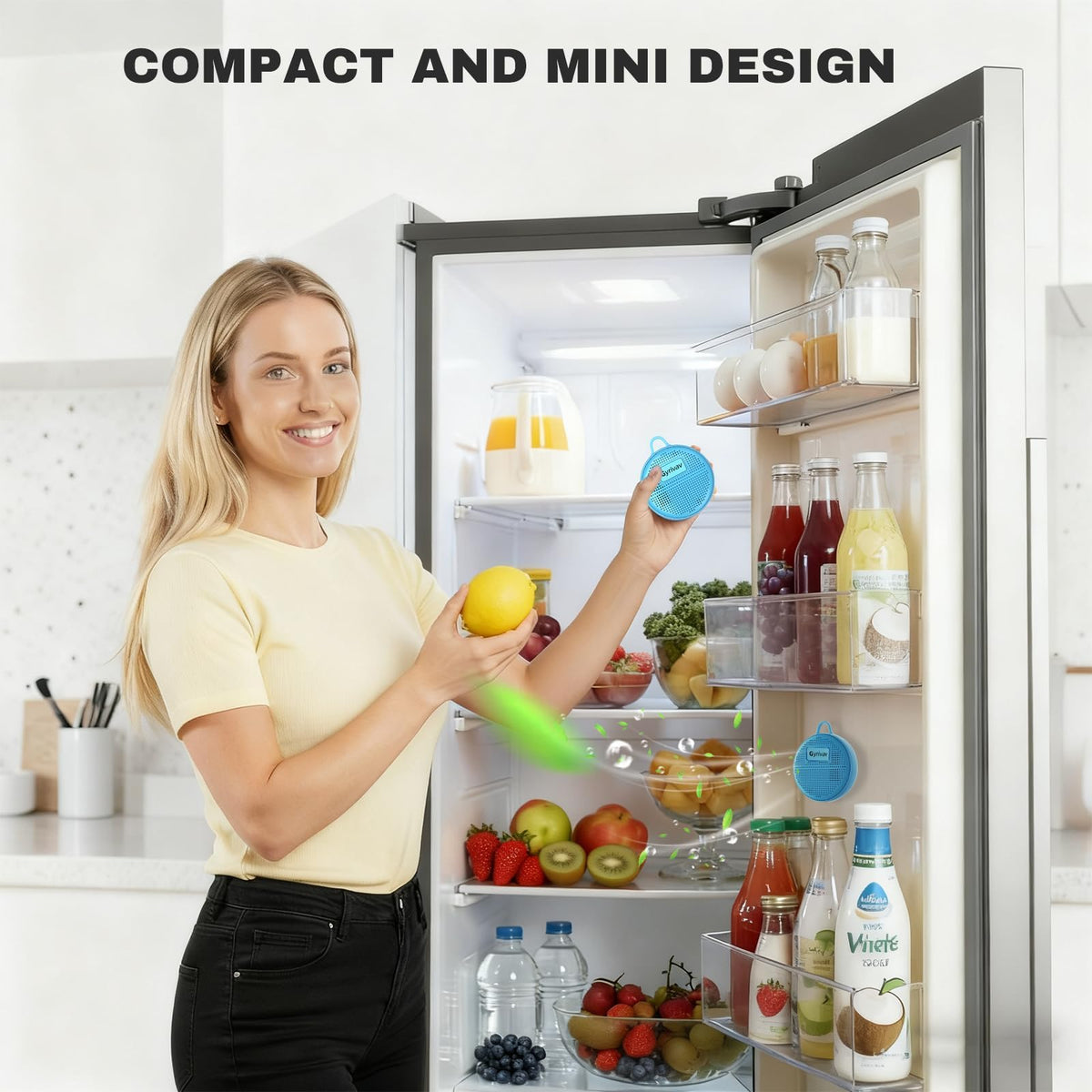 Refrigerator Deodorizer