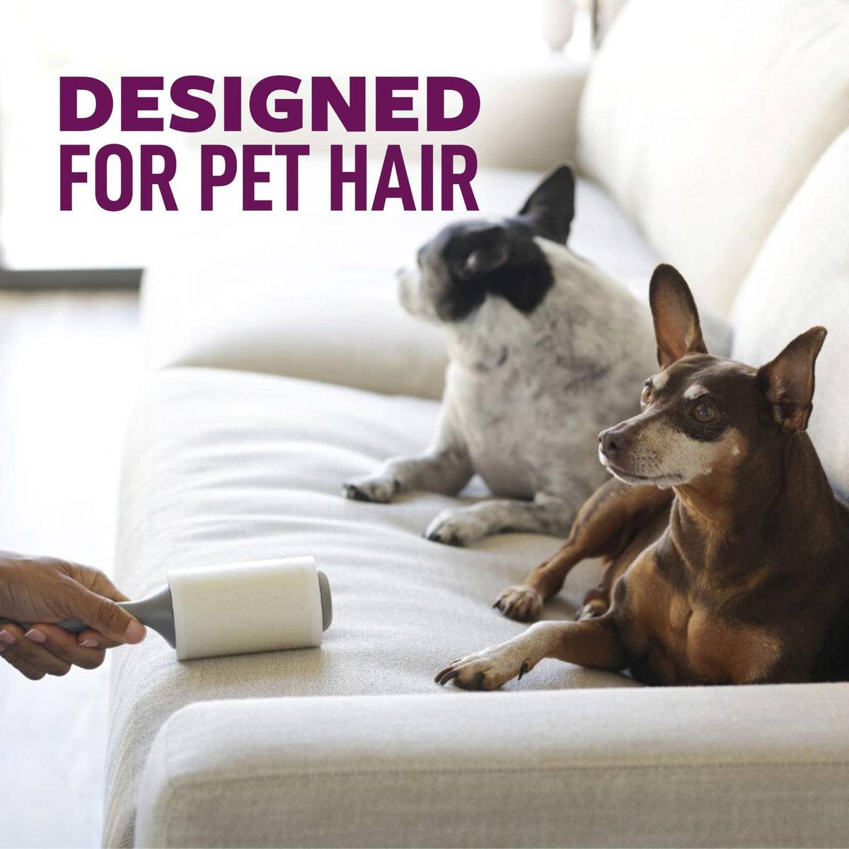 Pet Extra Sticky Hair Lint Roller (6 Count)