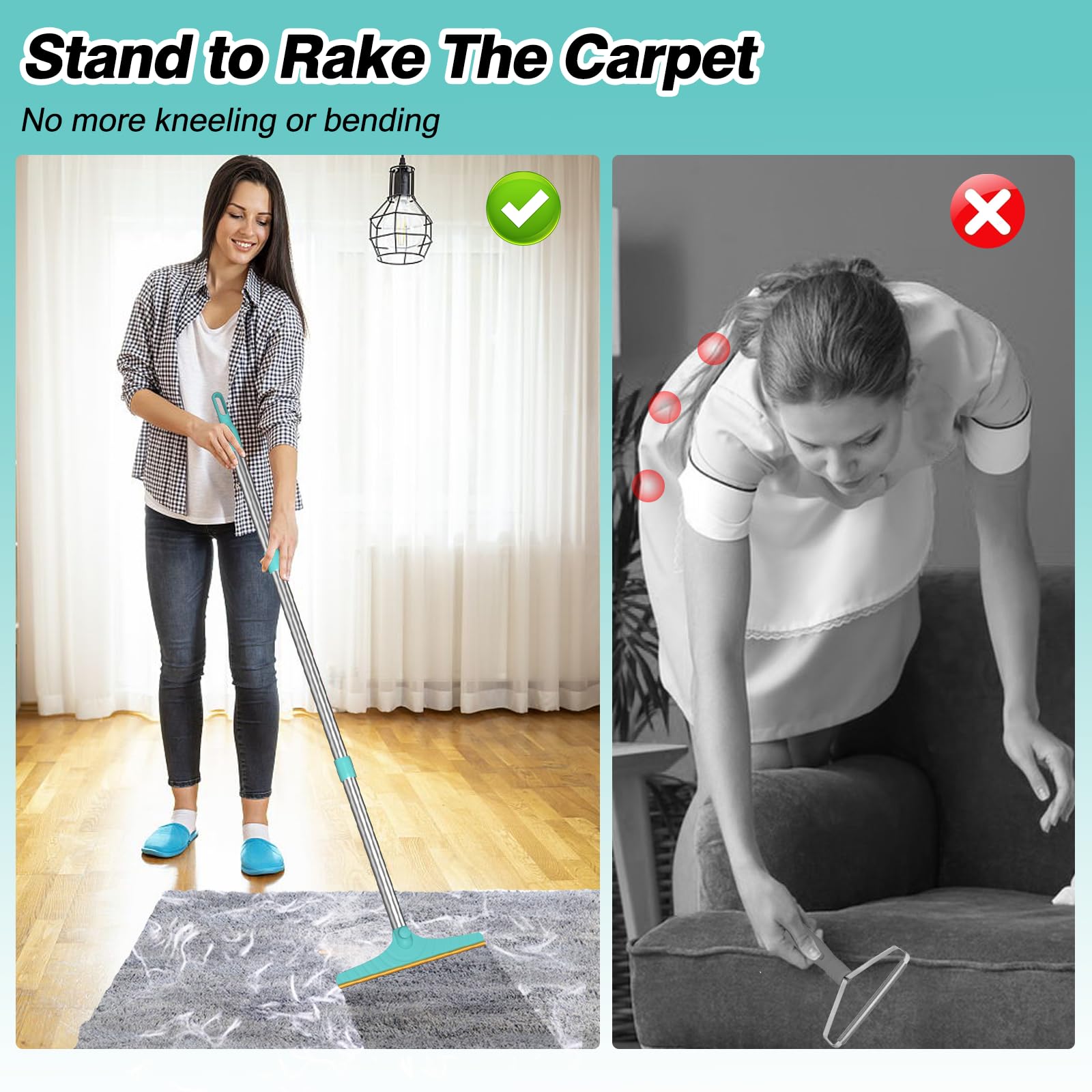 Carpet Rake for Pet Hair Removal