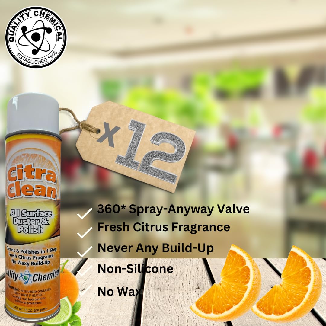 Citra Clean aerosol (12 Count)